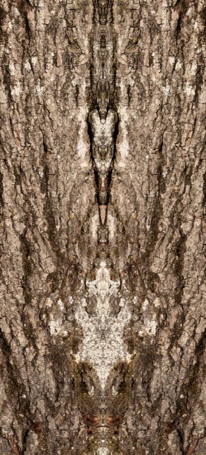 2-45645432324295-43443247546567.png