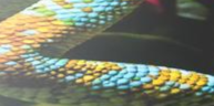 2-45746950537415-42113720385735.png
