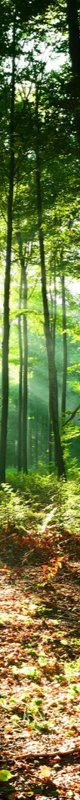 2-46213608898759-43434219536583.jpeg