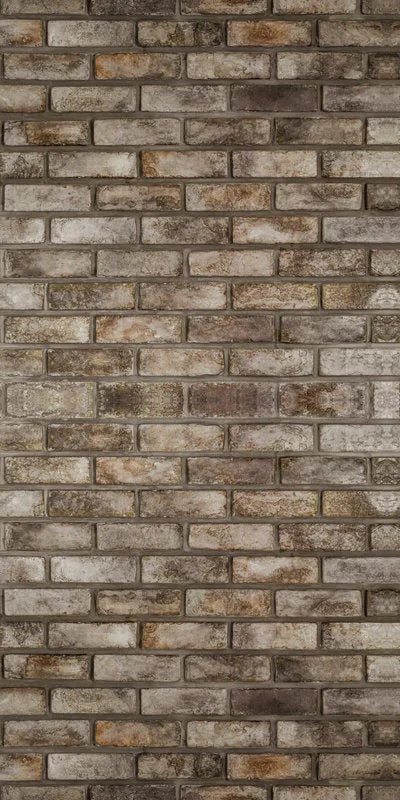2-46251931173063-43433970073799.jpeg