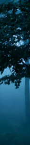 6-45481038479559-43442165252295.png