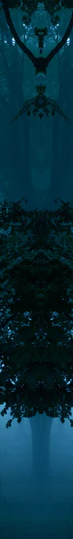 7-45481039167687-43442165252295.png
