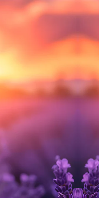 7-45542538051783-43435233607879.png