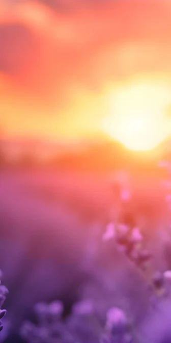 8-45542538084551-43435233607879.png