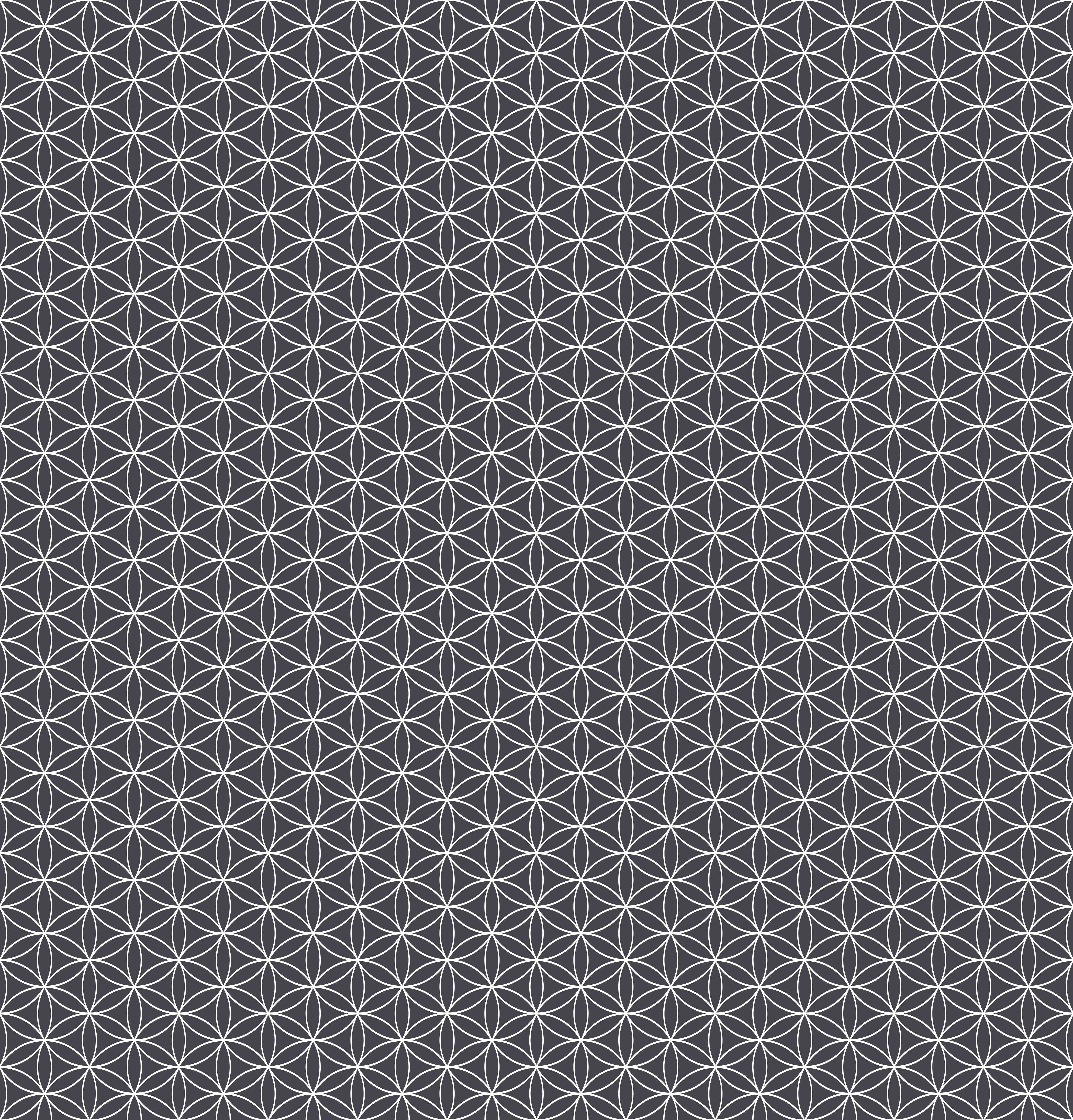 Duschrückwand - Geometrica - Fiori - Antracite