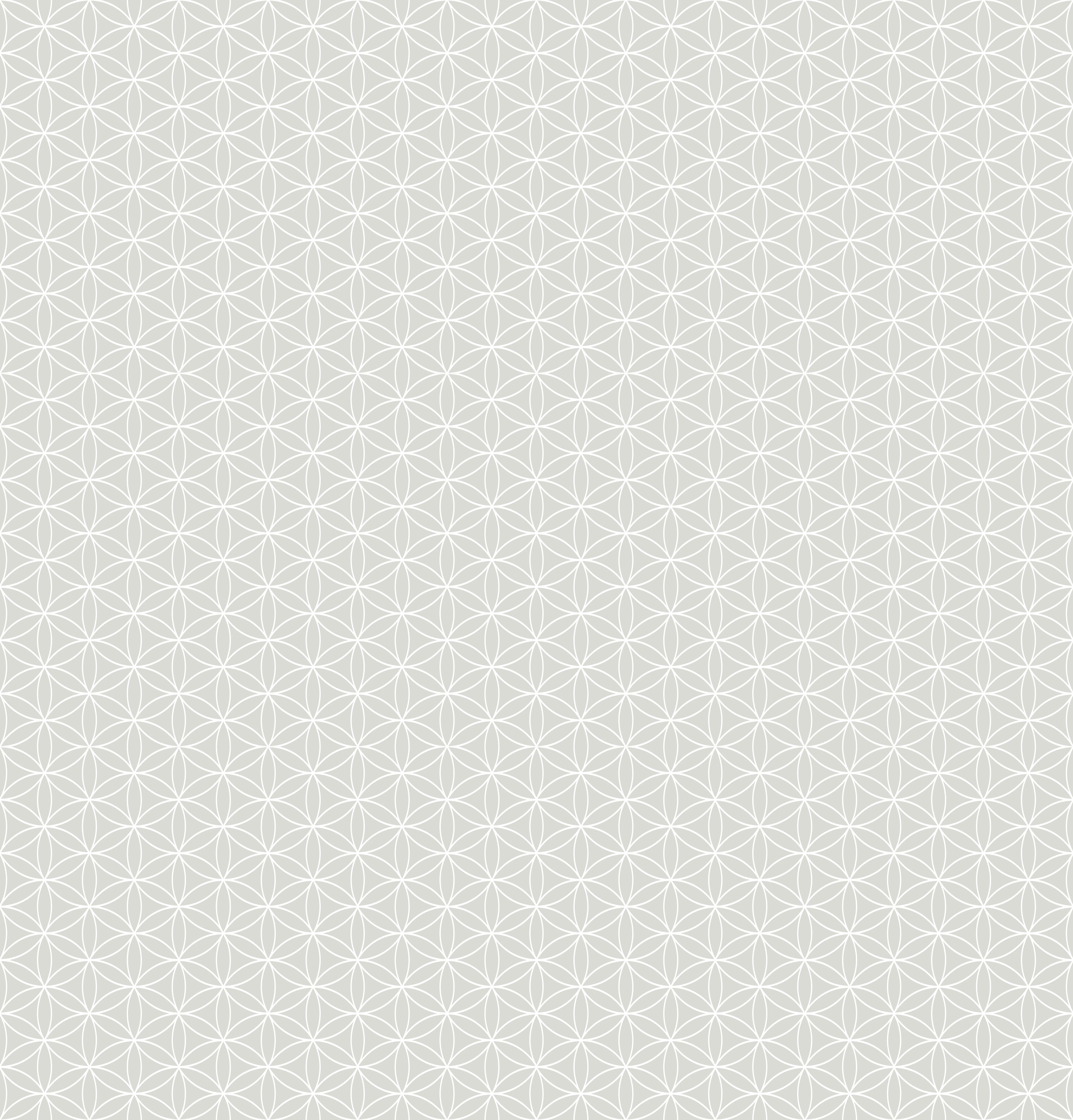 Duschrückwand - Geometrica - Fiori - Argento