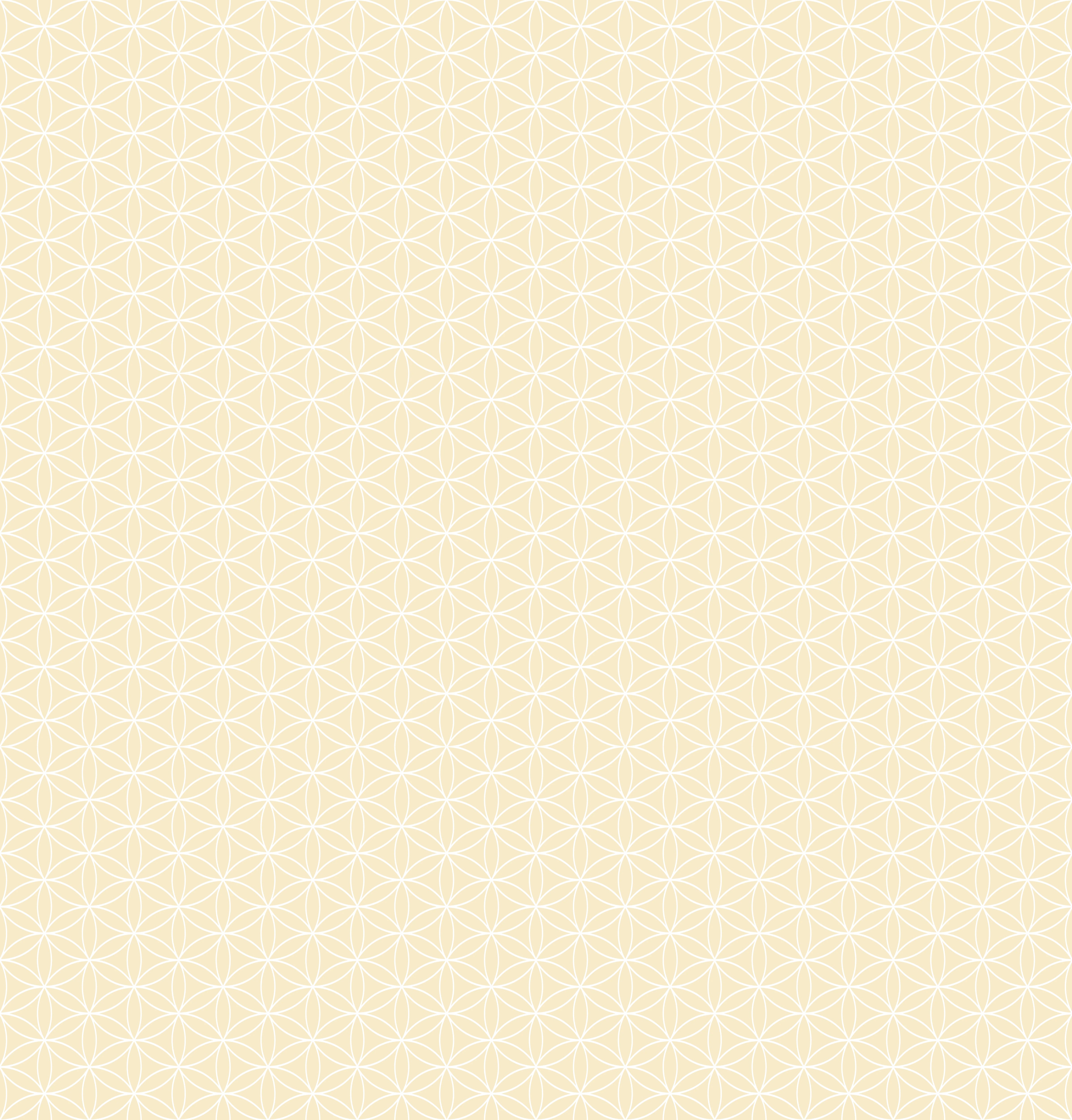 Duschrückwand - Geometrica - Fiori - Avorio