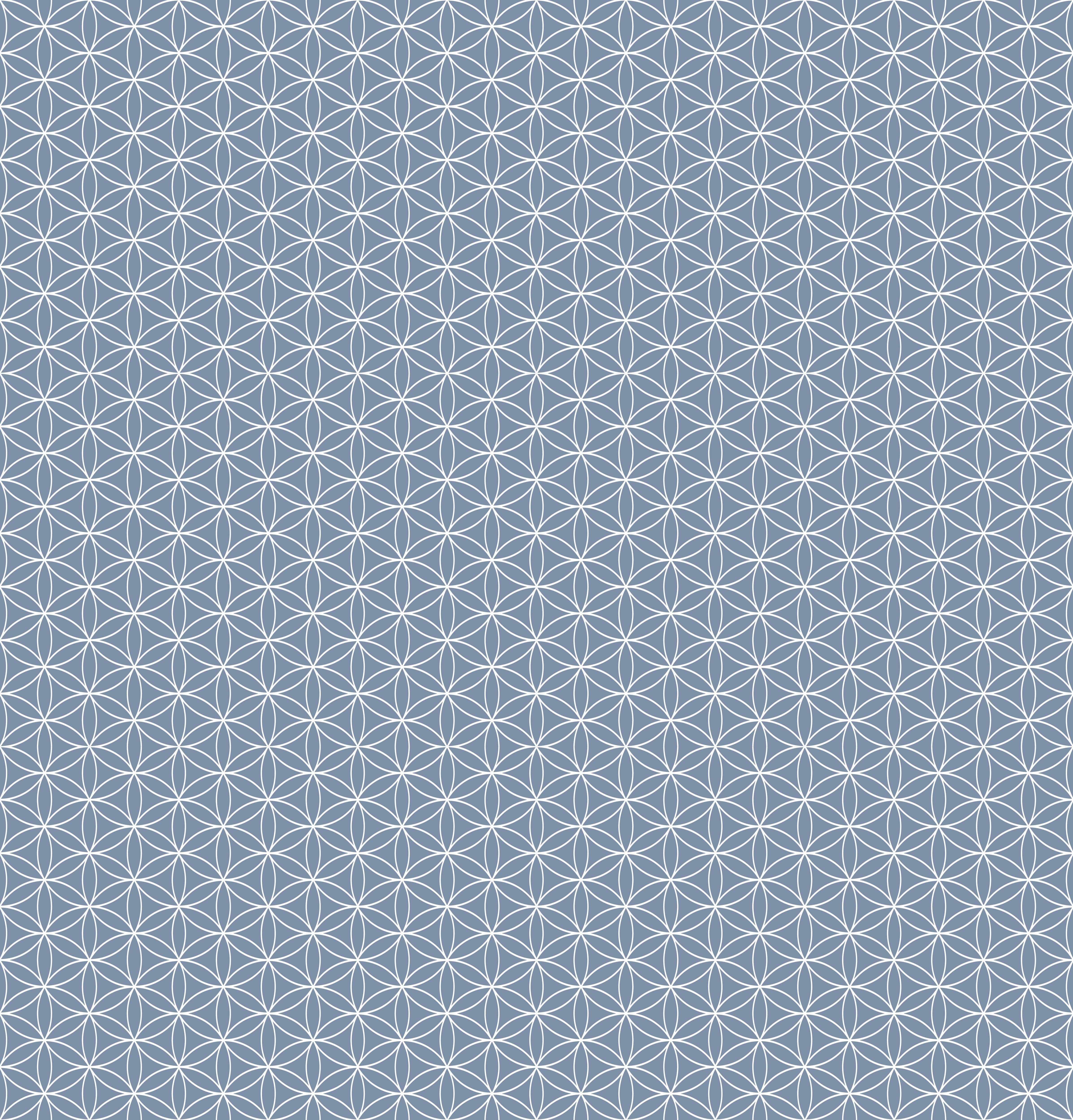 Duschrückwand - Geometrica - Fiori - Azzurro polvere