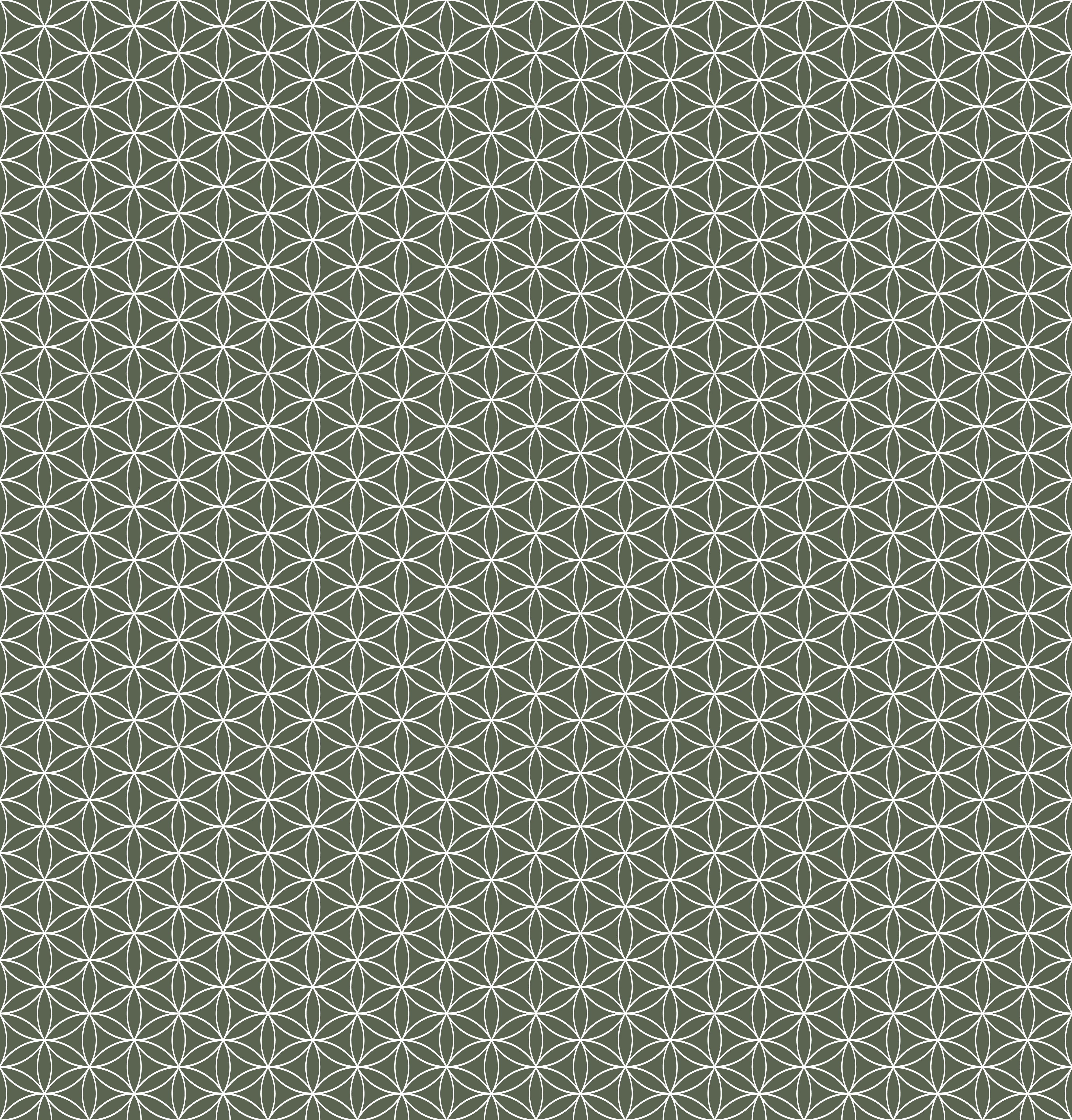 Duschrückwand - Geometrica - Fiori - Bosco