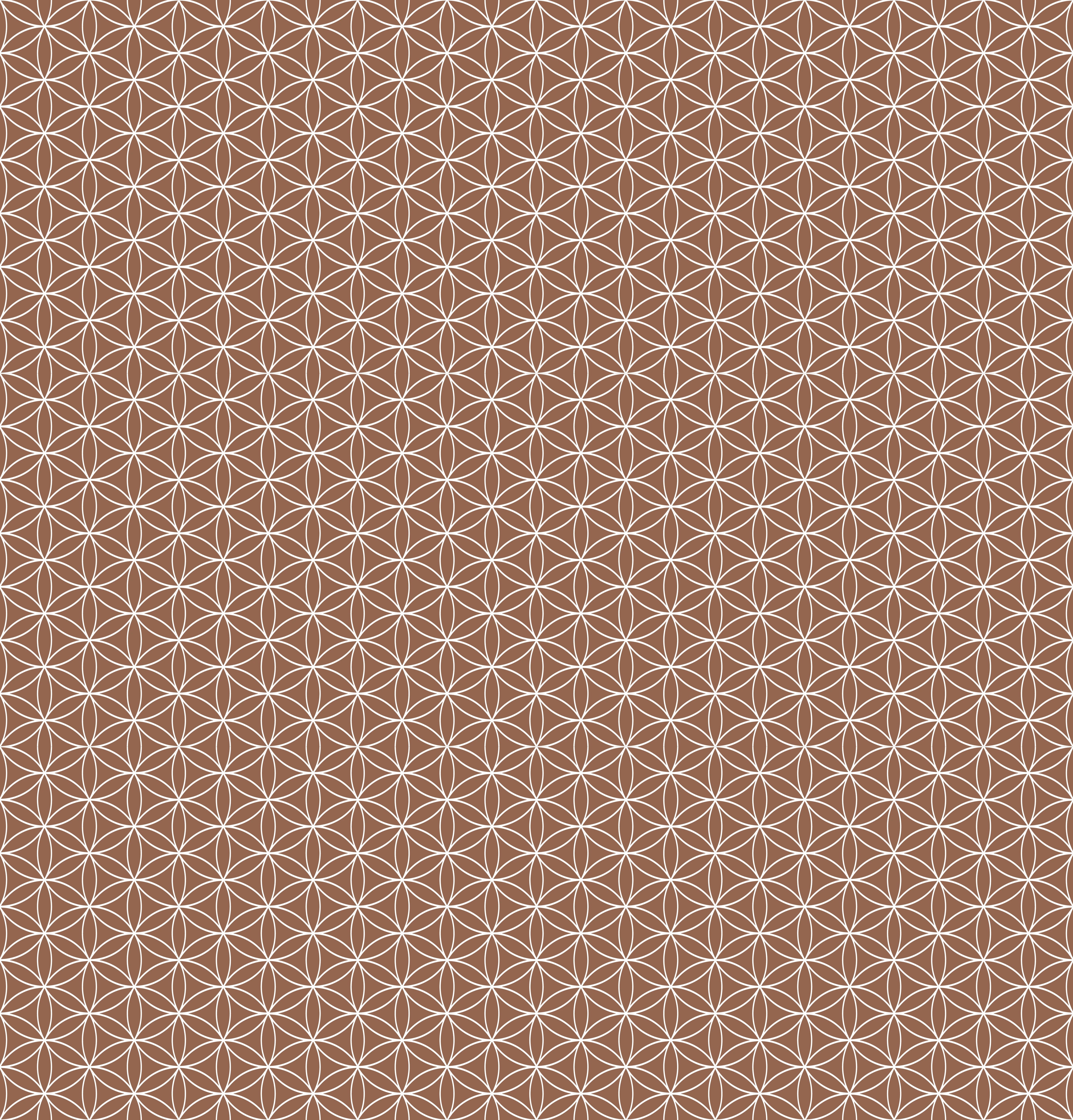 Duschrückwand - Geometrica - Fiori - Cannella