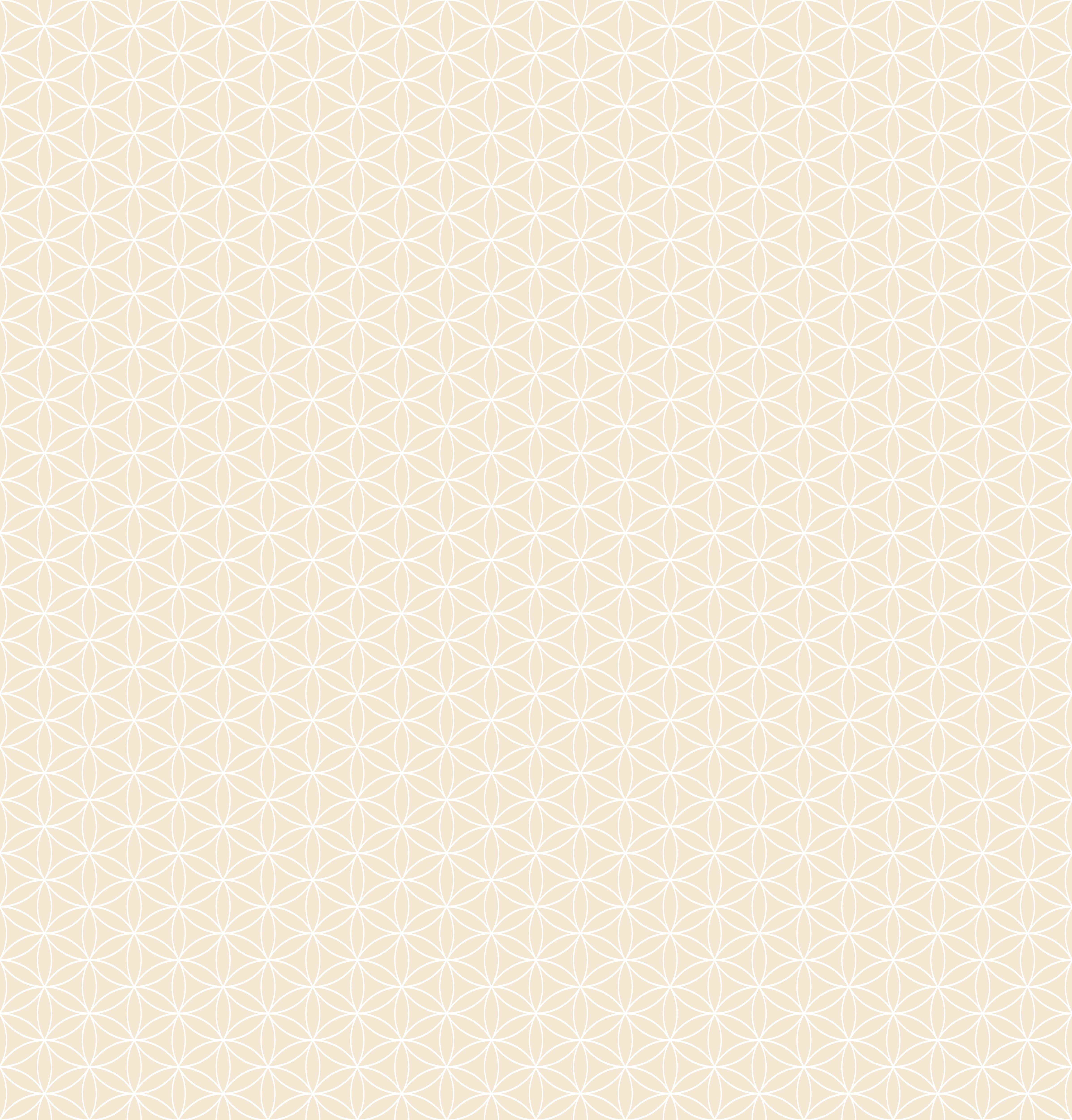 Duschrückwand - Geometrica - Fiori - Crema