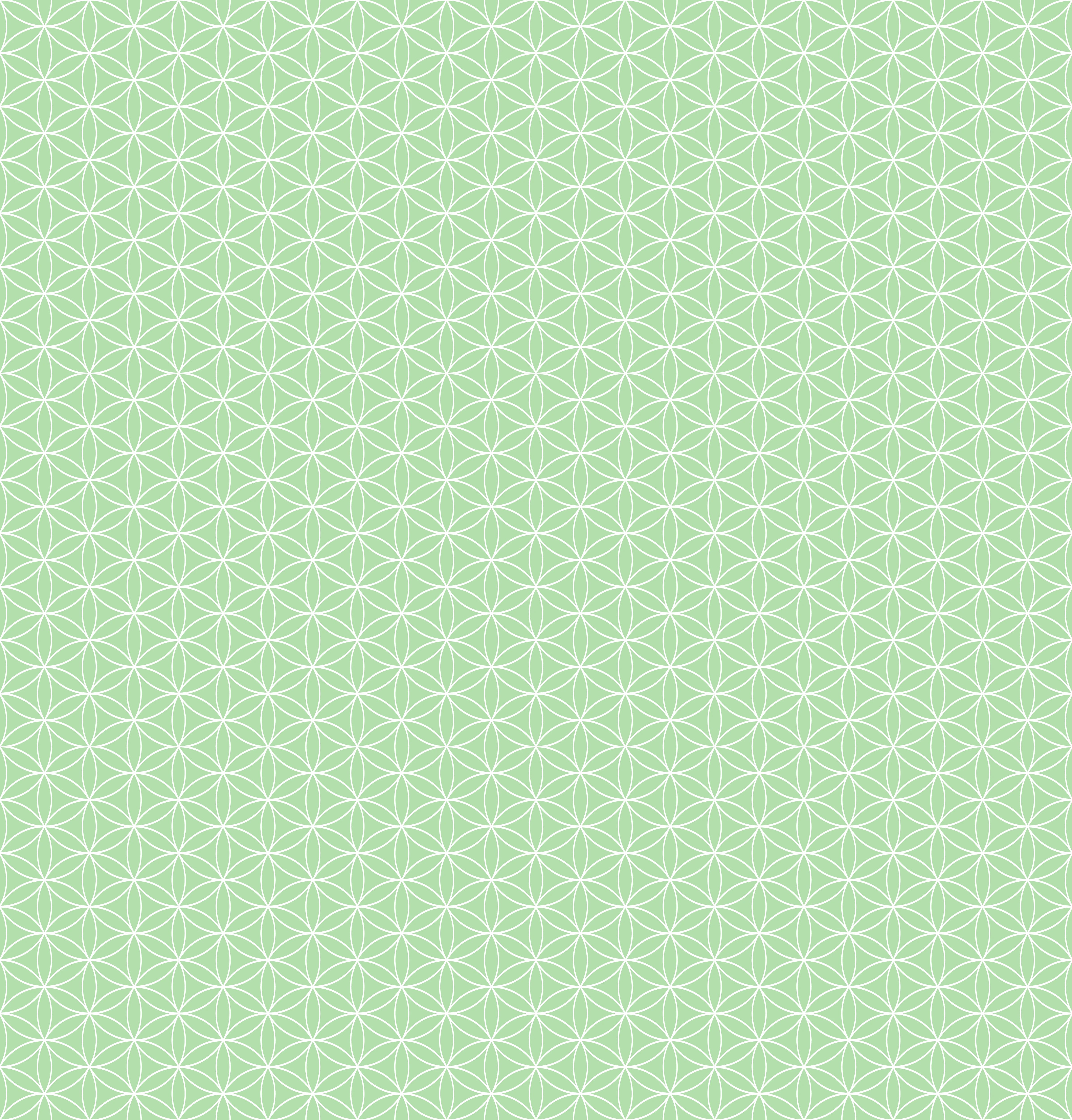 Duschrückwand - Geometrica - Fiori - Muschio