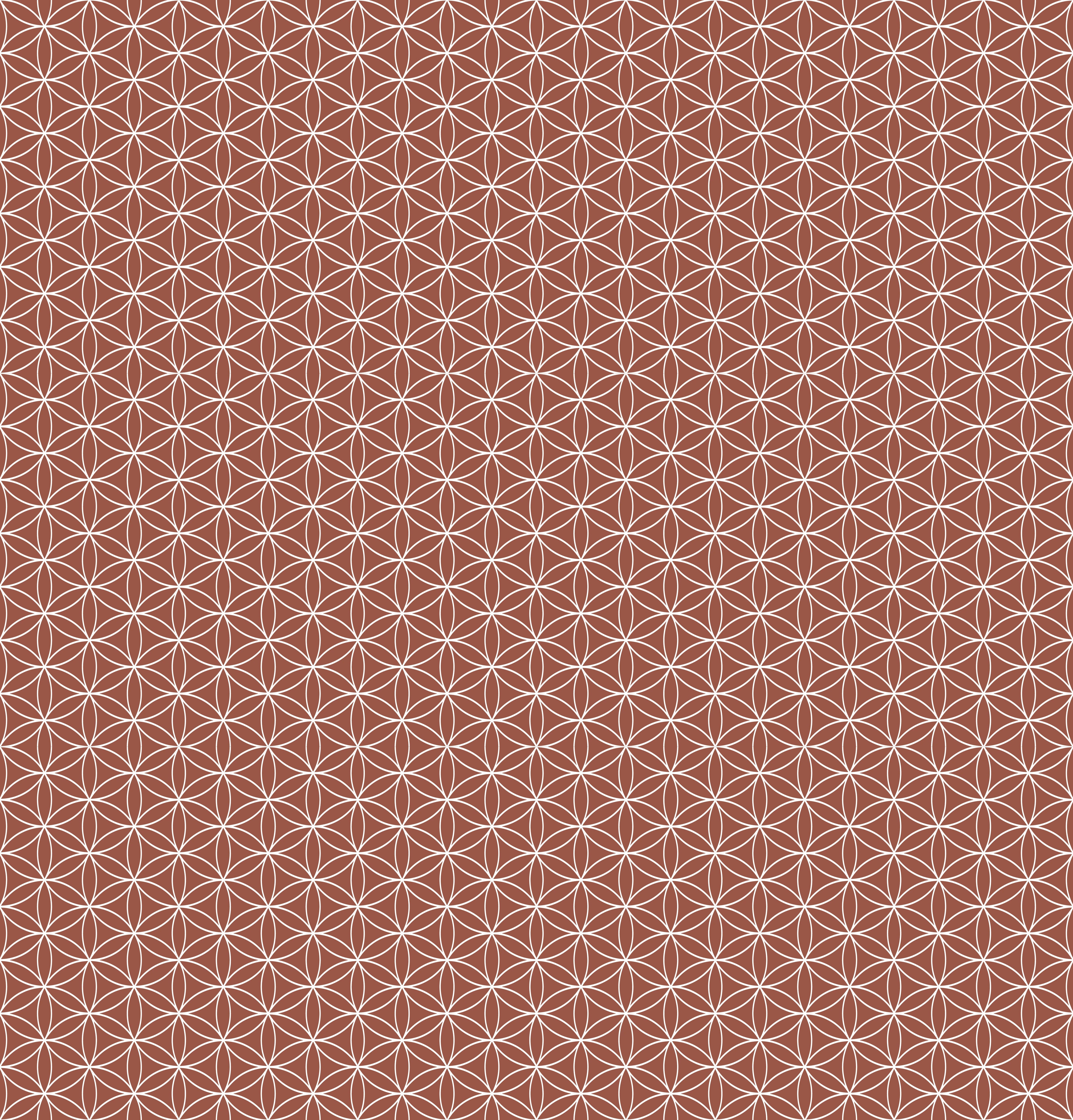 Duschrückwand - Geometrica - Fiori - Ruggine