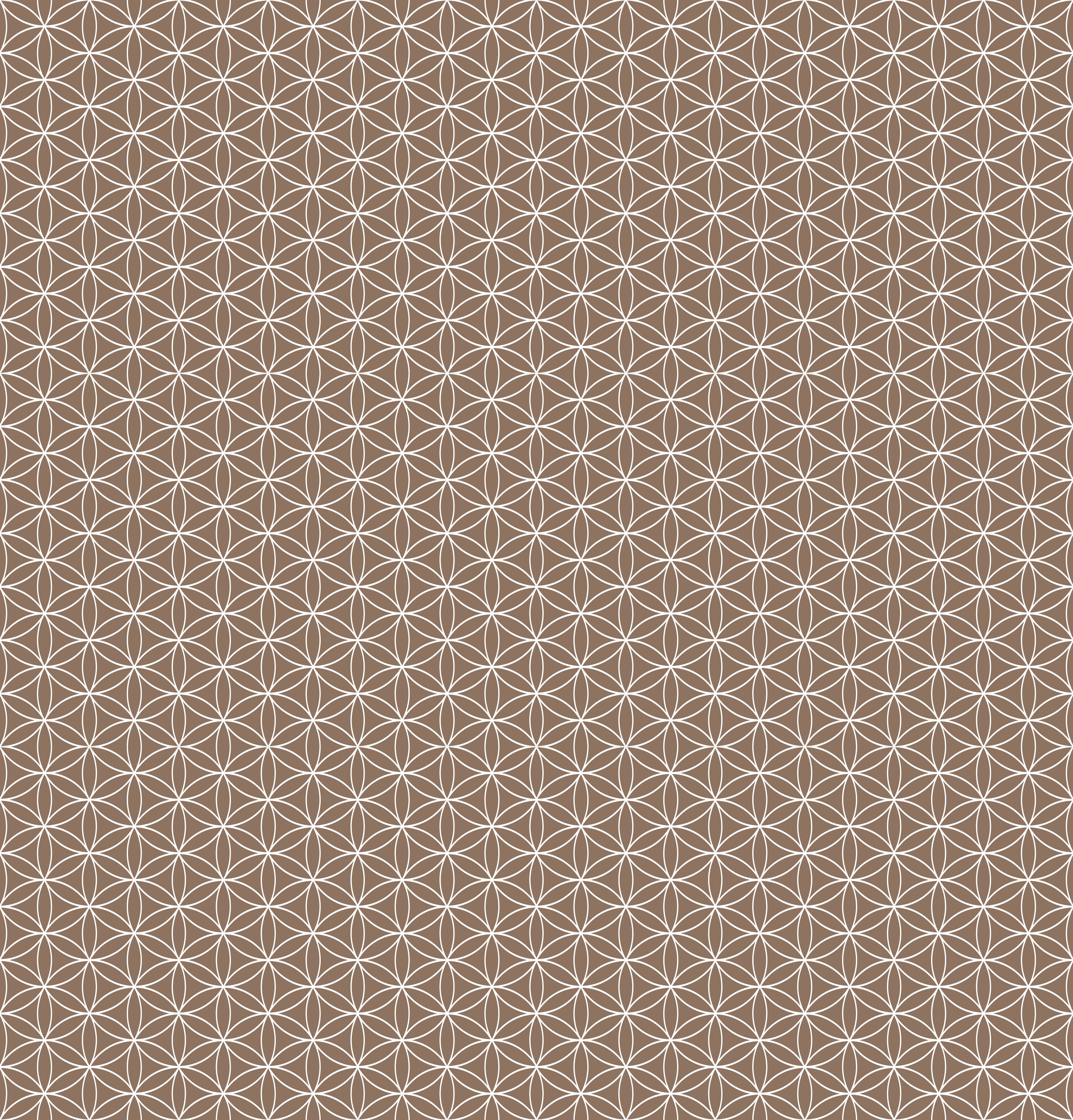 Duschrückwand - Geometrica - Fiori - Sigaro