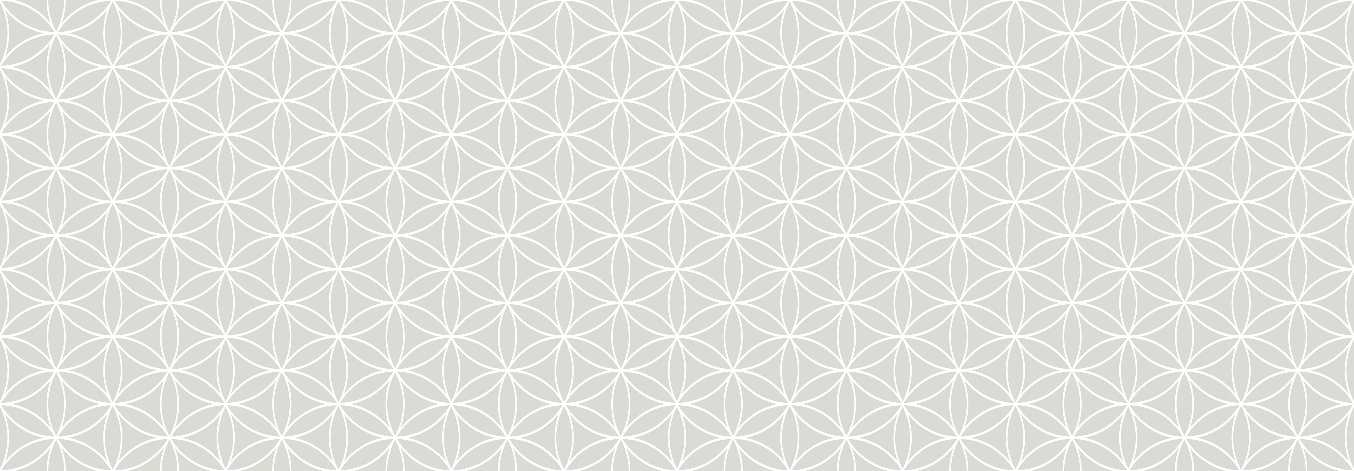 Küchenrückwand - Geometrica - Fiori - Argento