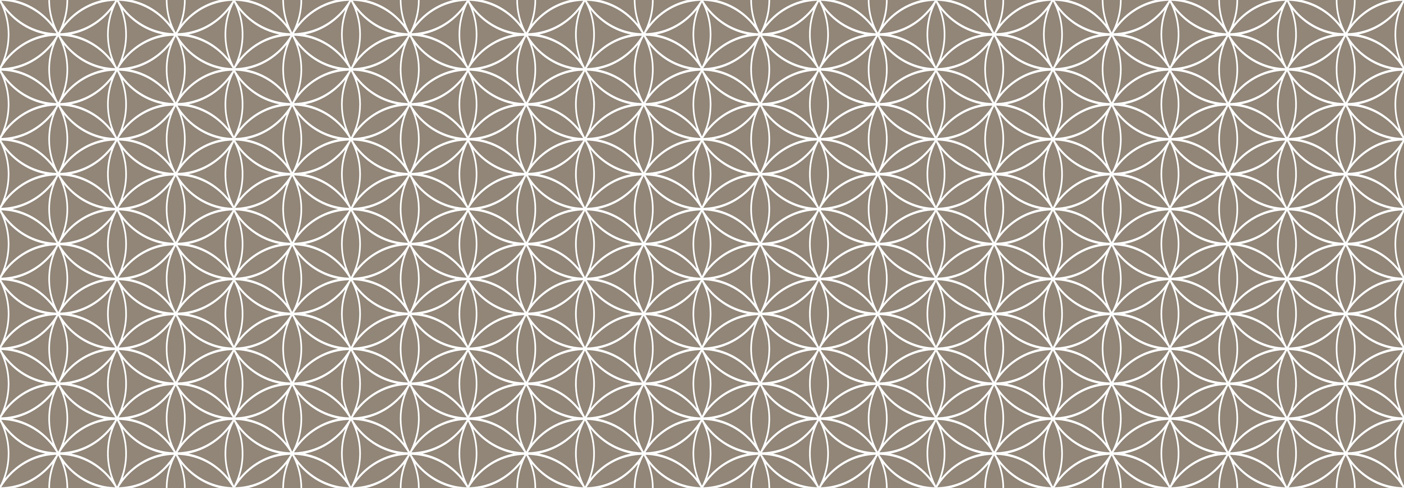 Küchenrückwand - Geometrica - Fiori - Tortora