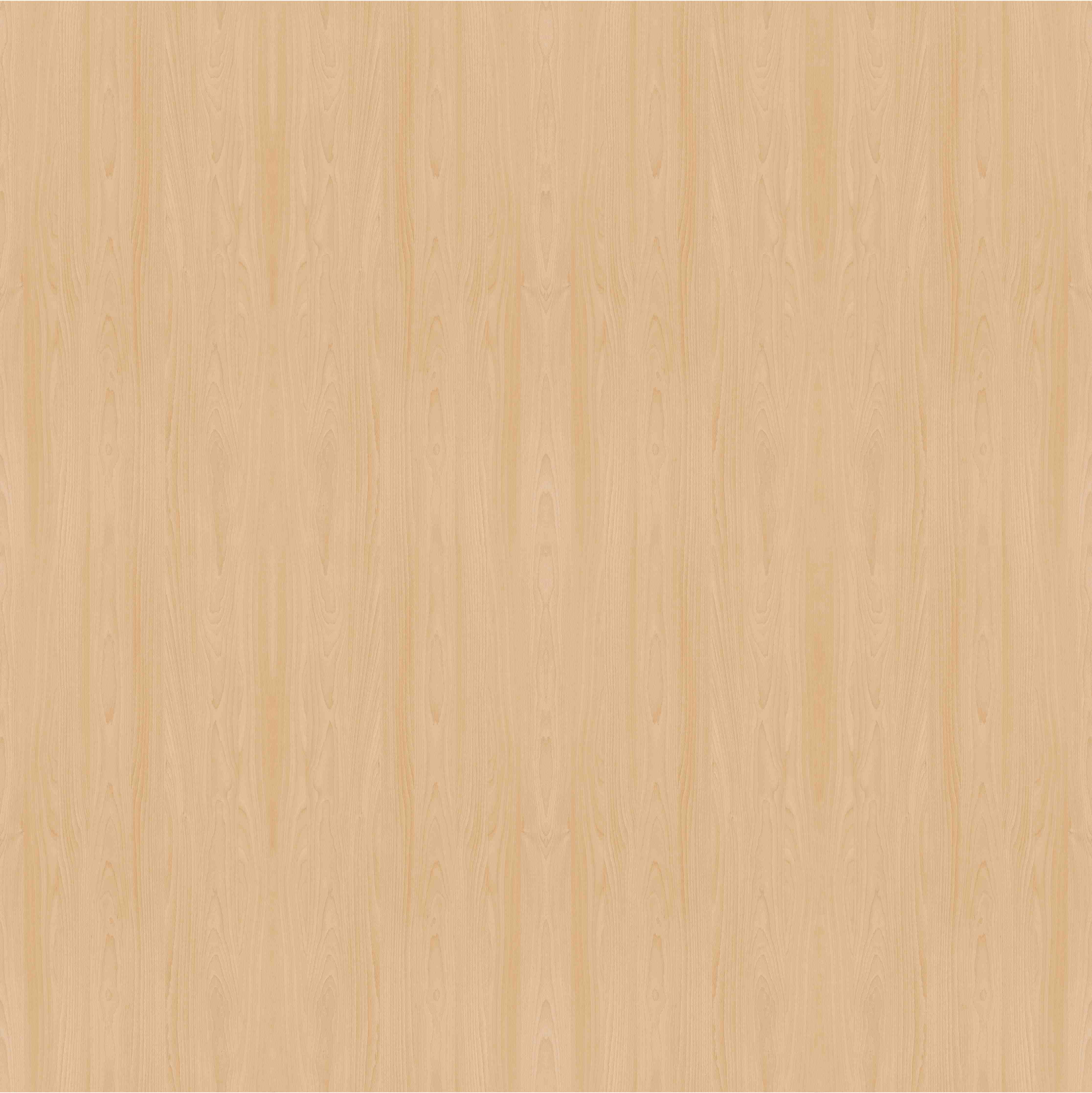 Duschrückwand-duschrueckwand-standard-leggero