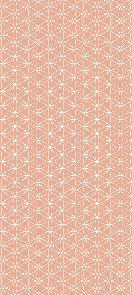 1-45291076387015-43443409748167.png