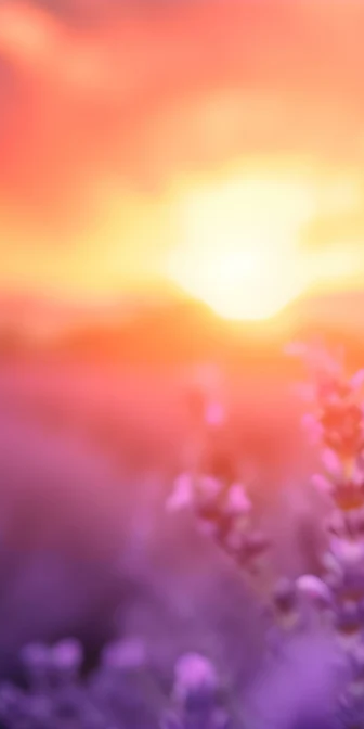 1-45542537855175-43435233607879.png