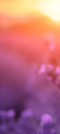 1-45600707903687-43435233607879.png