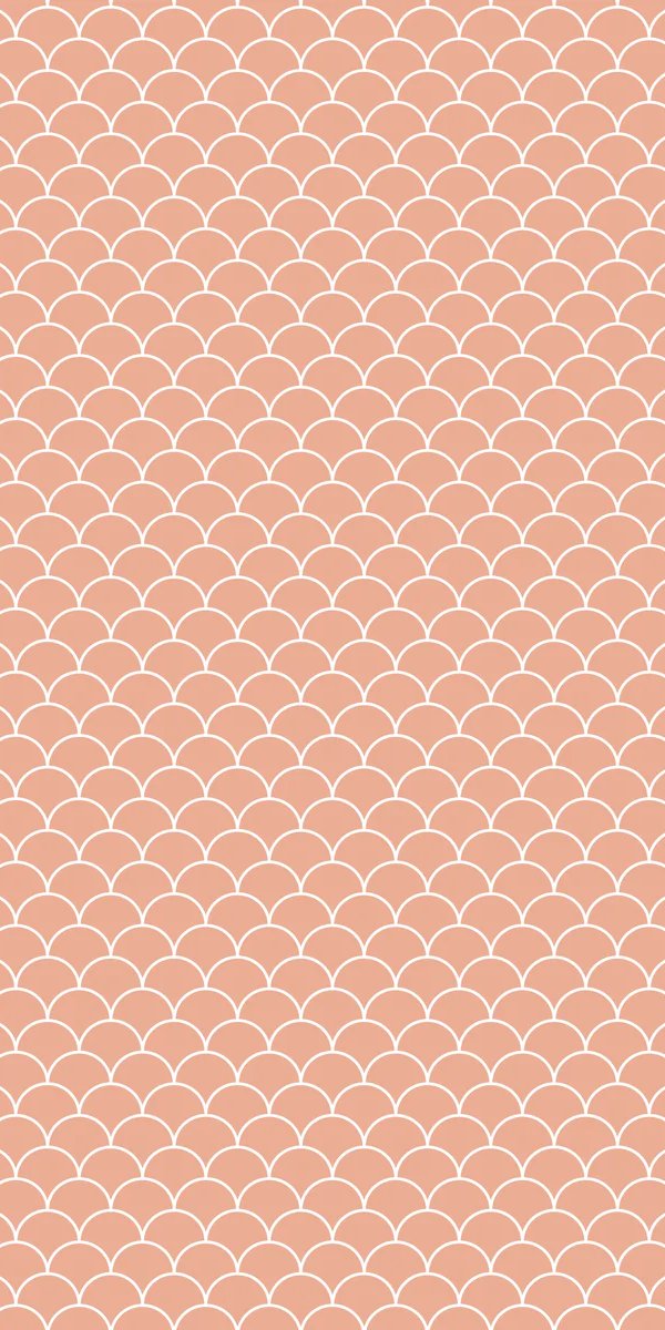 1-46206937039047-43443436748999.jpeg