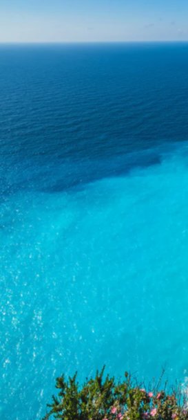 1-46319714566343-43434710499527.jpeg