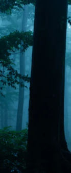 11-45481039298759-43442165252295.png