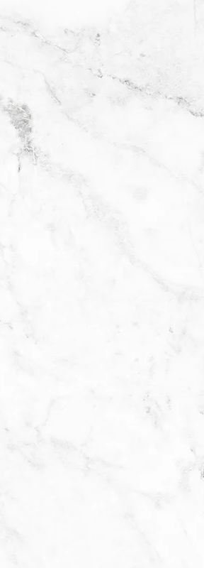 2-45055527616711-42030417019079.png