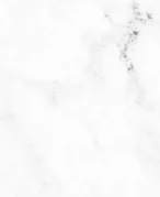 2-45193839018183-42856869265607.png