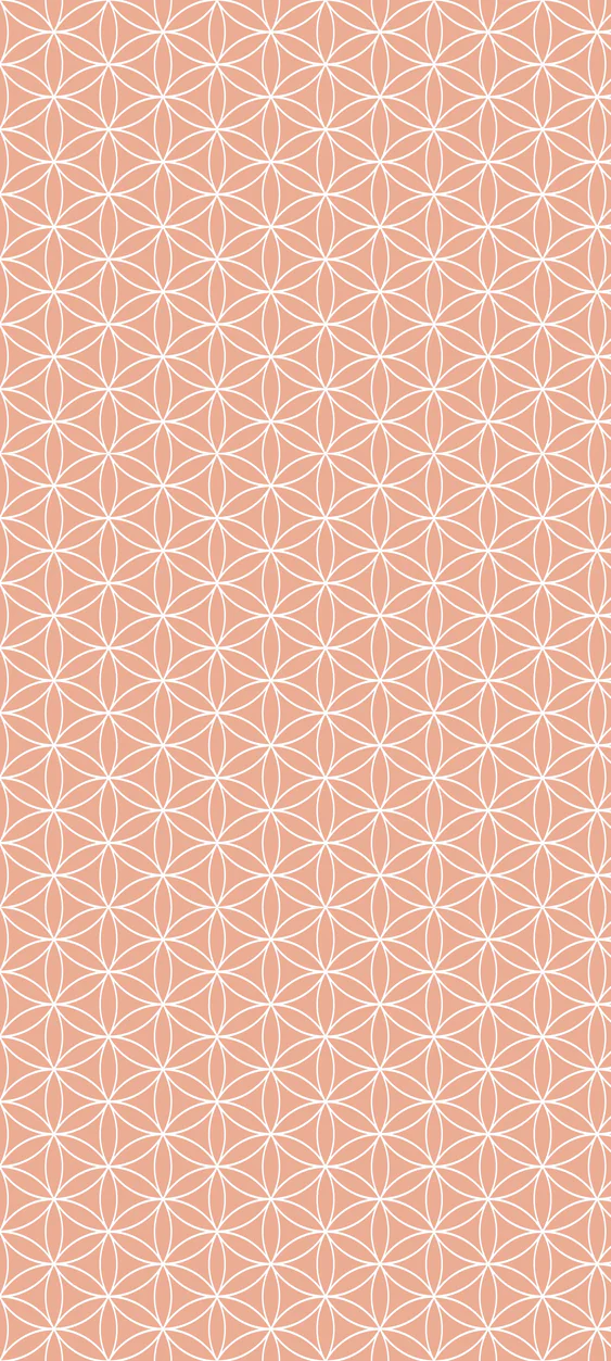 2-45291076419783-43443409748167.png
