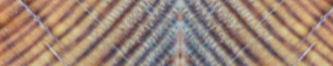 2-45398677160135-43435087429831.png