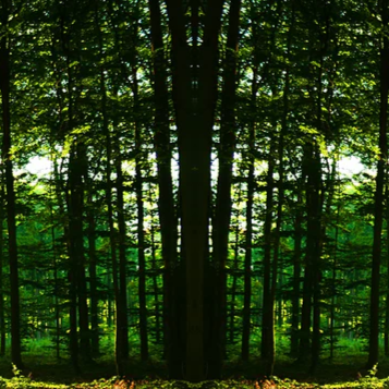 2-45731008544967-43712003080391.png