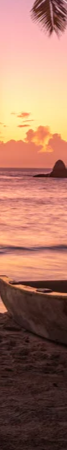 3-45635029696711-43434103800007.png