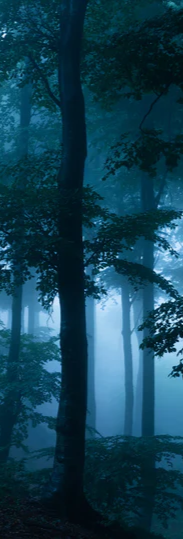 4-45481038414023-43442165252295.png