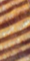 5-45398677258439-43435087429831.png