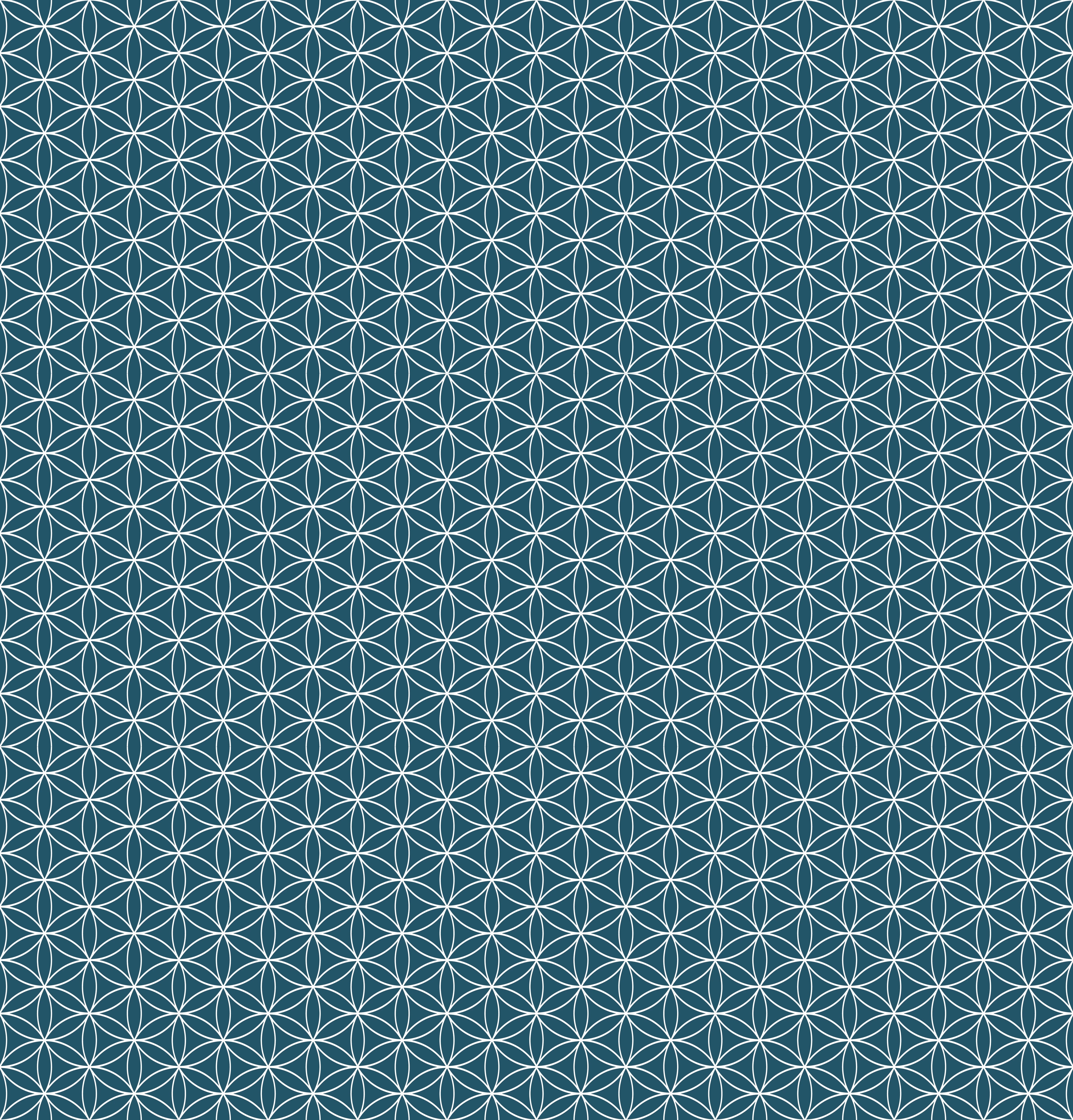 Duschrückwand - Geometrica - Fiori - Blu Petrolio