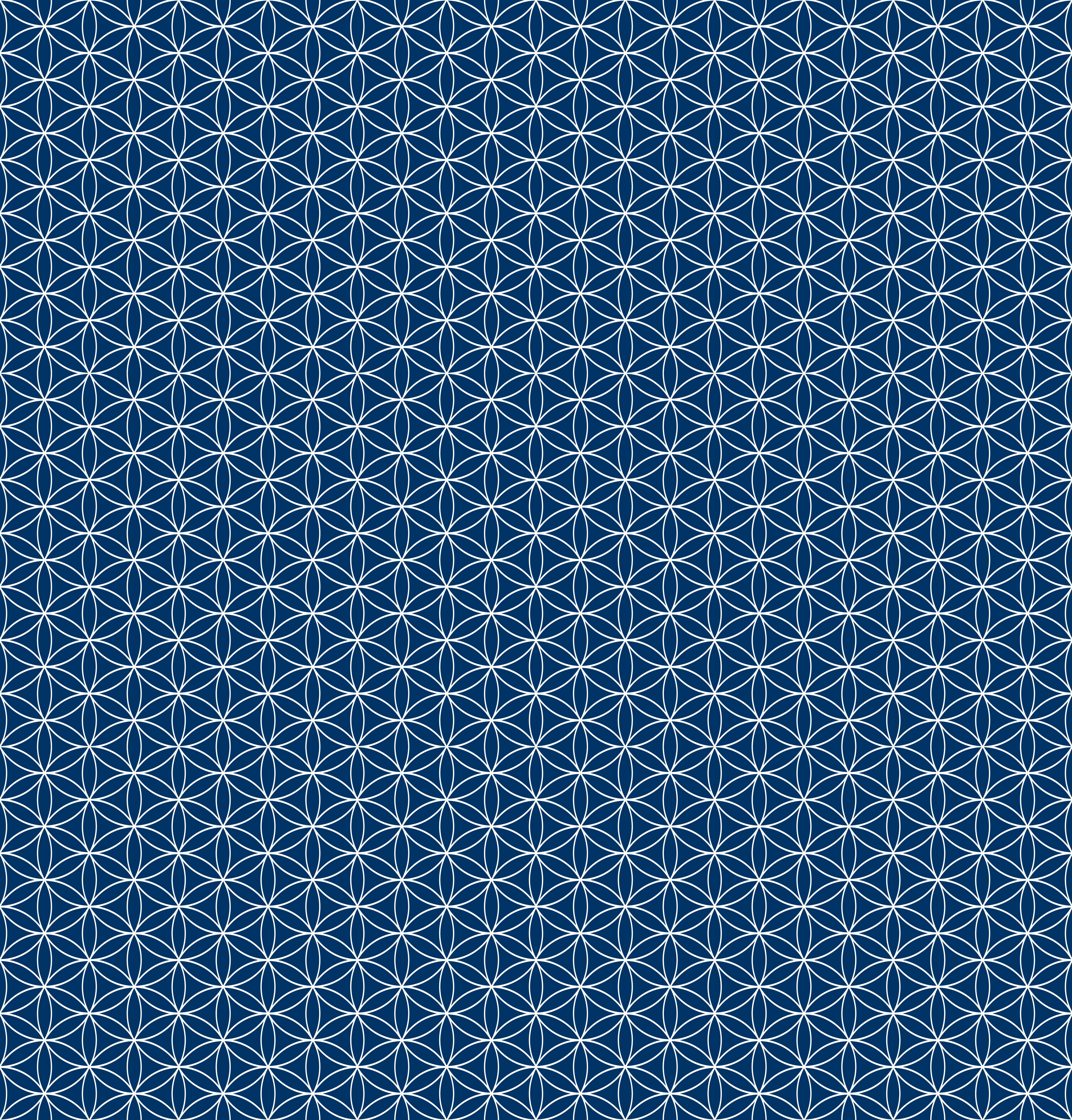 Duschrückwand - Geometrica - Fiori - Blu notte