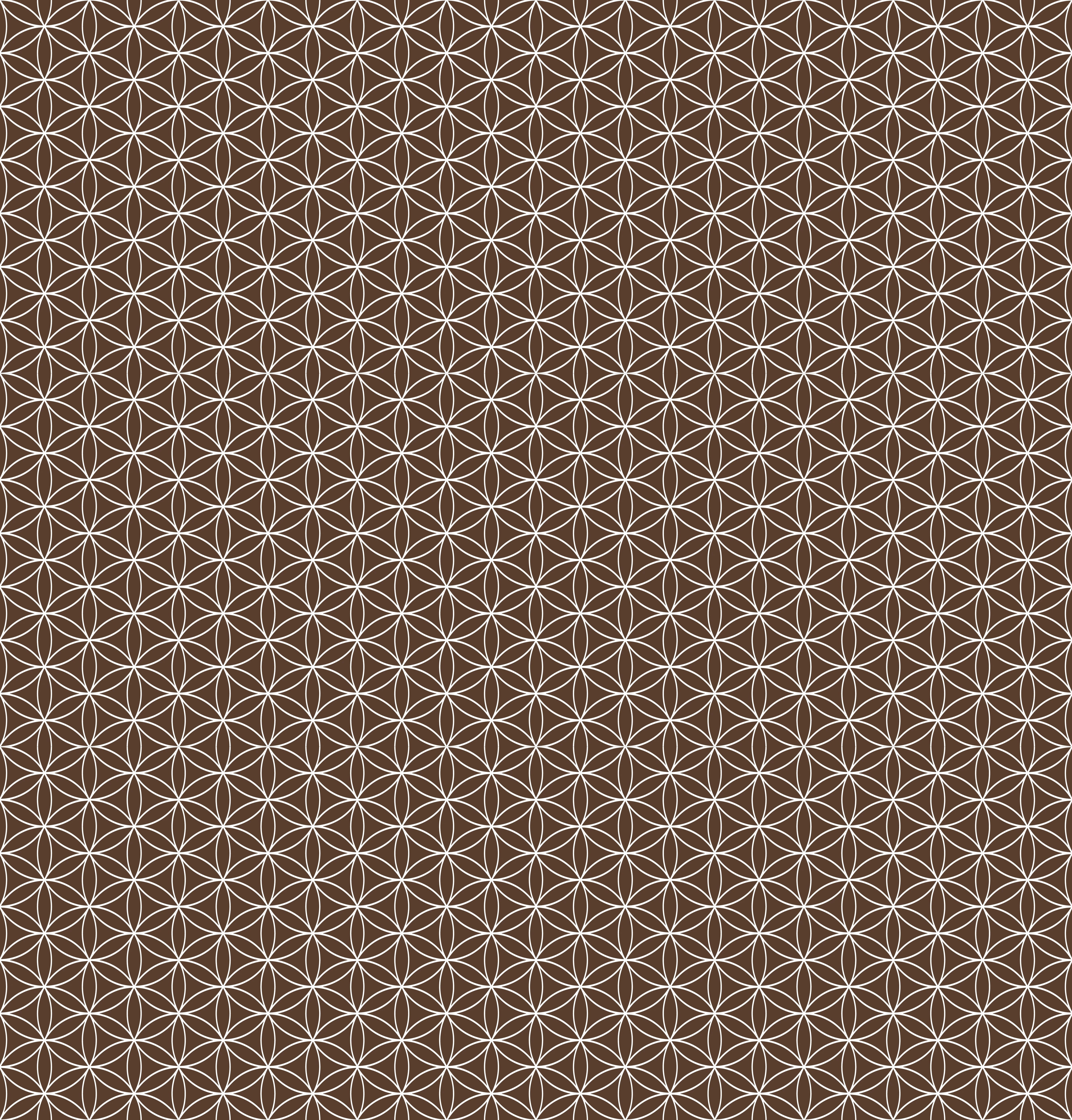 Duschrückwand - Geometrica - Fiori - Caffè