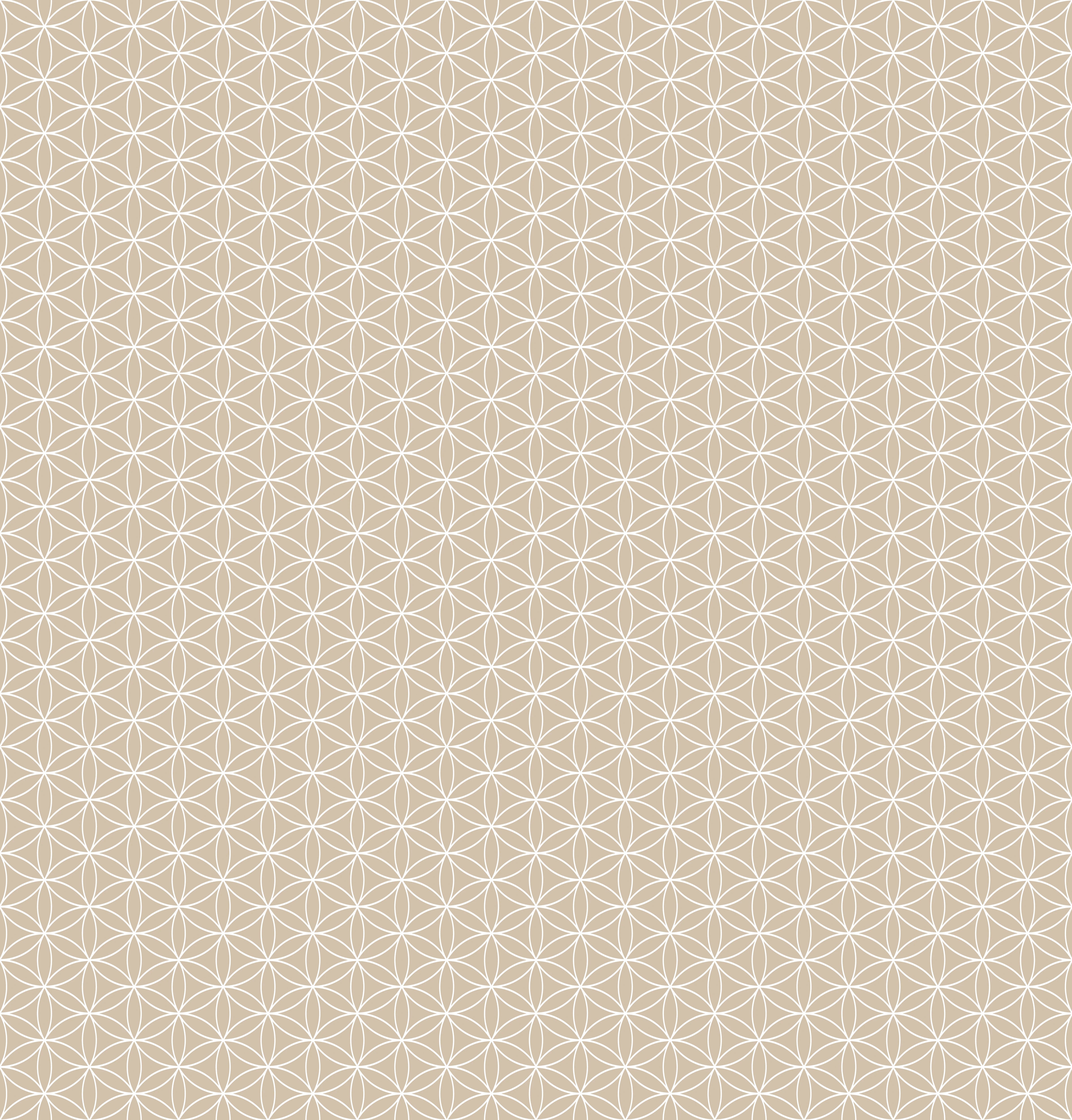 Duschrückwand - Geometrica - Fiori - Cappuccino