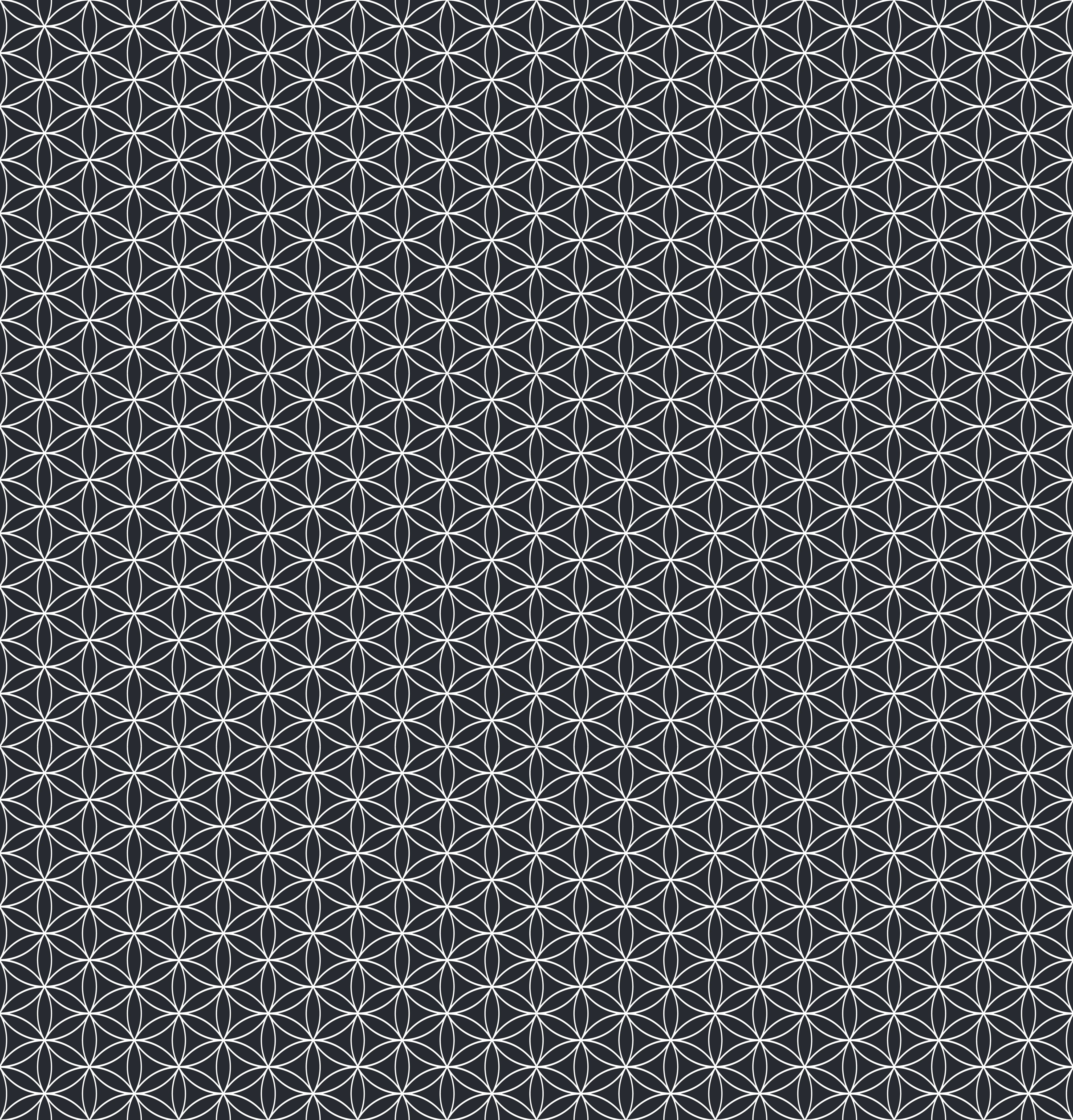 Duschrückwand - Geometrica - Fiori - Carbone