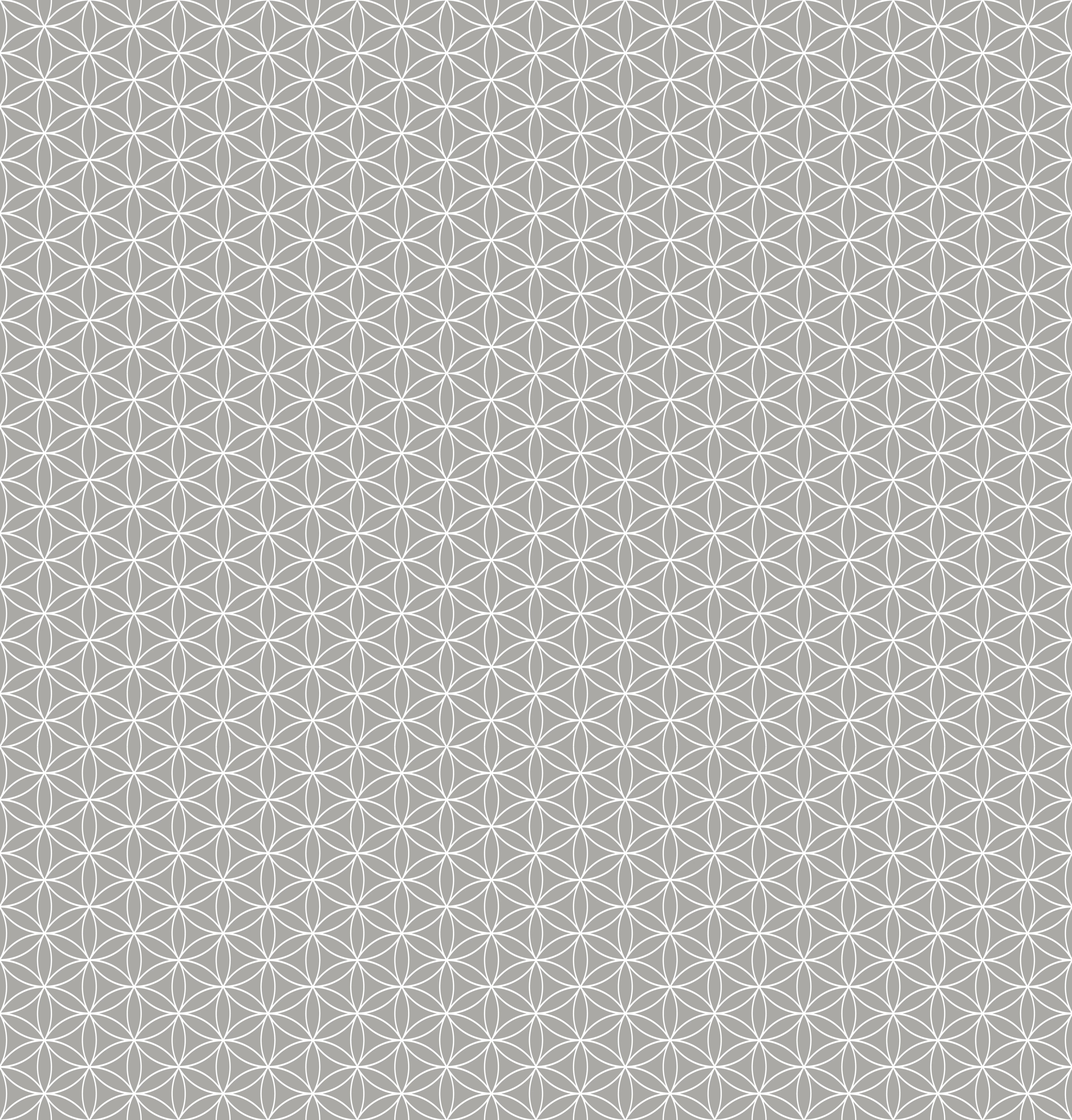 Duschrückwand - Geometrica - Fiori - Cemento