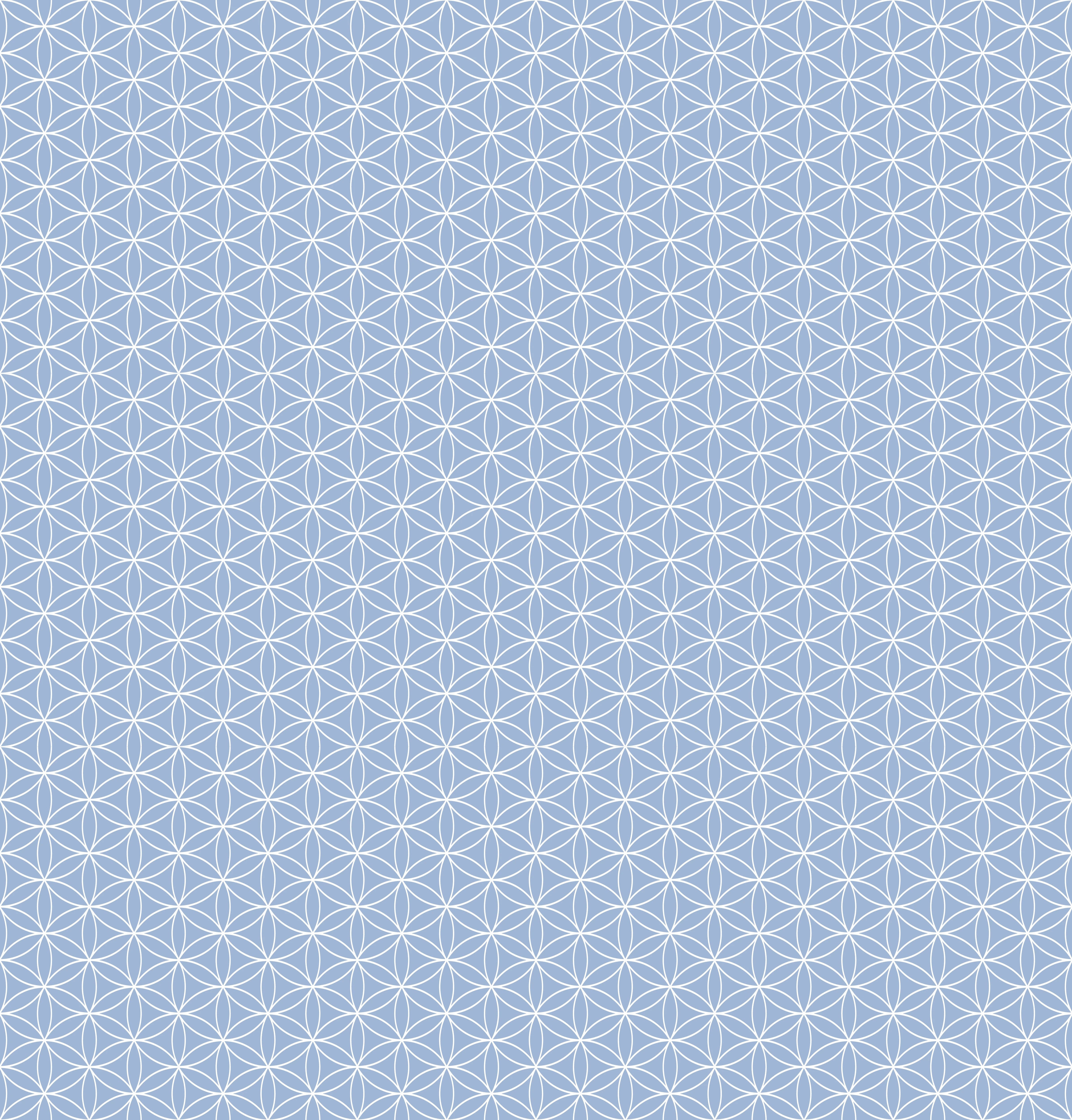 Duschrückwand - Geometrica - Fiori - Ceruleo