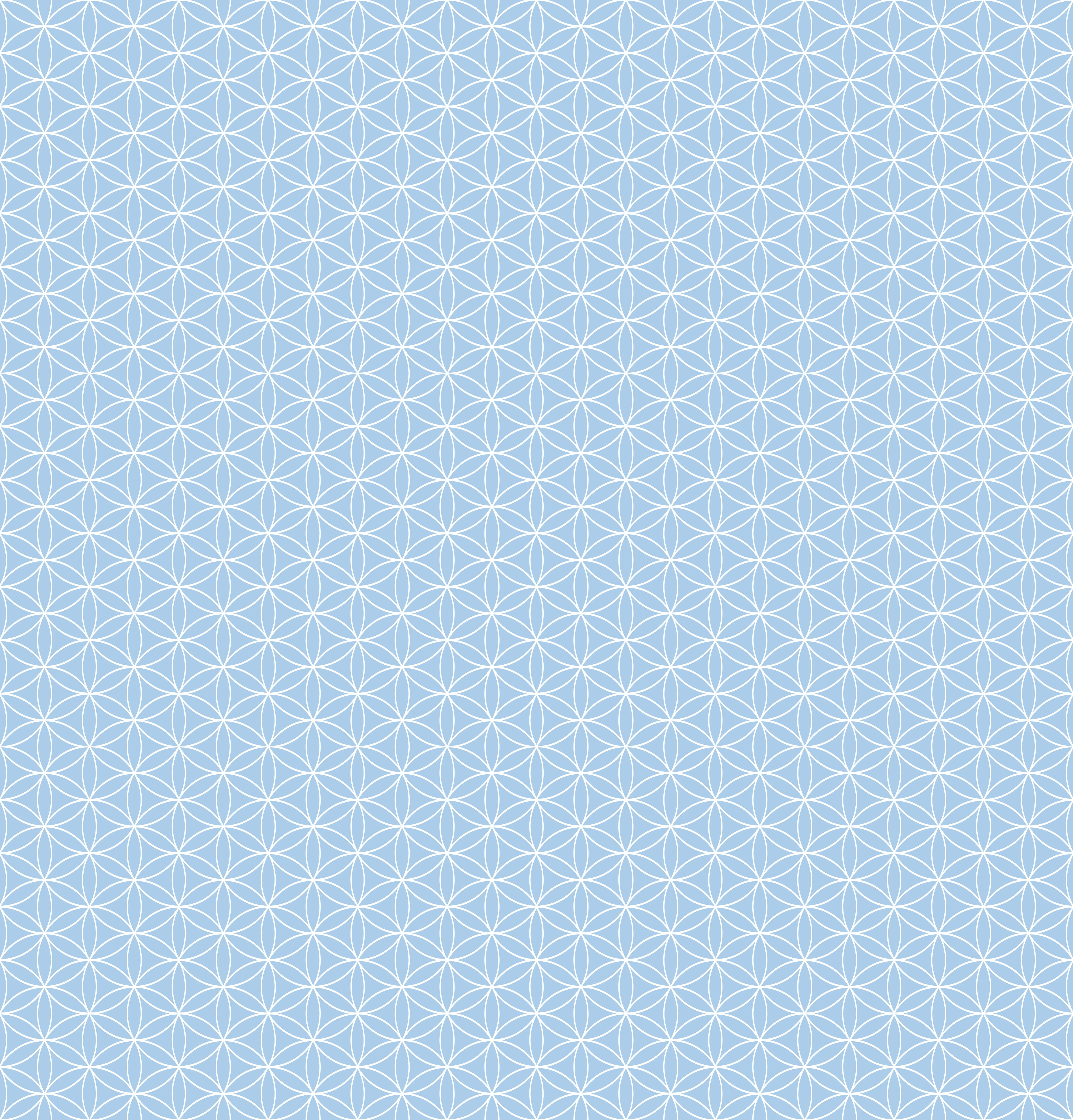Duschrückwand - Geometrica - Fiori - Cielo