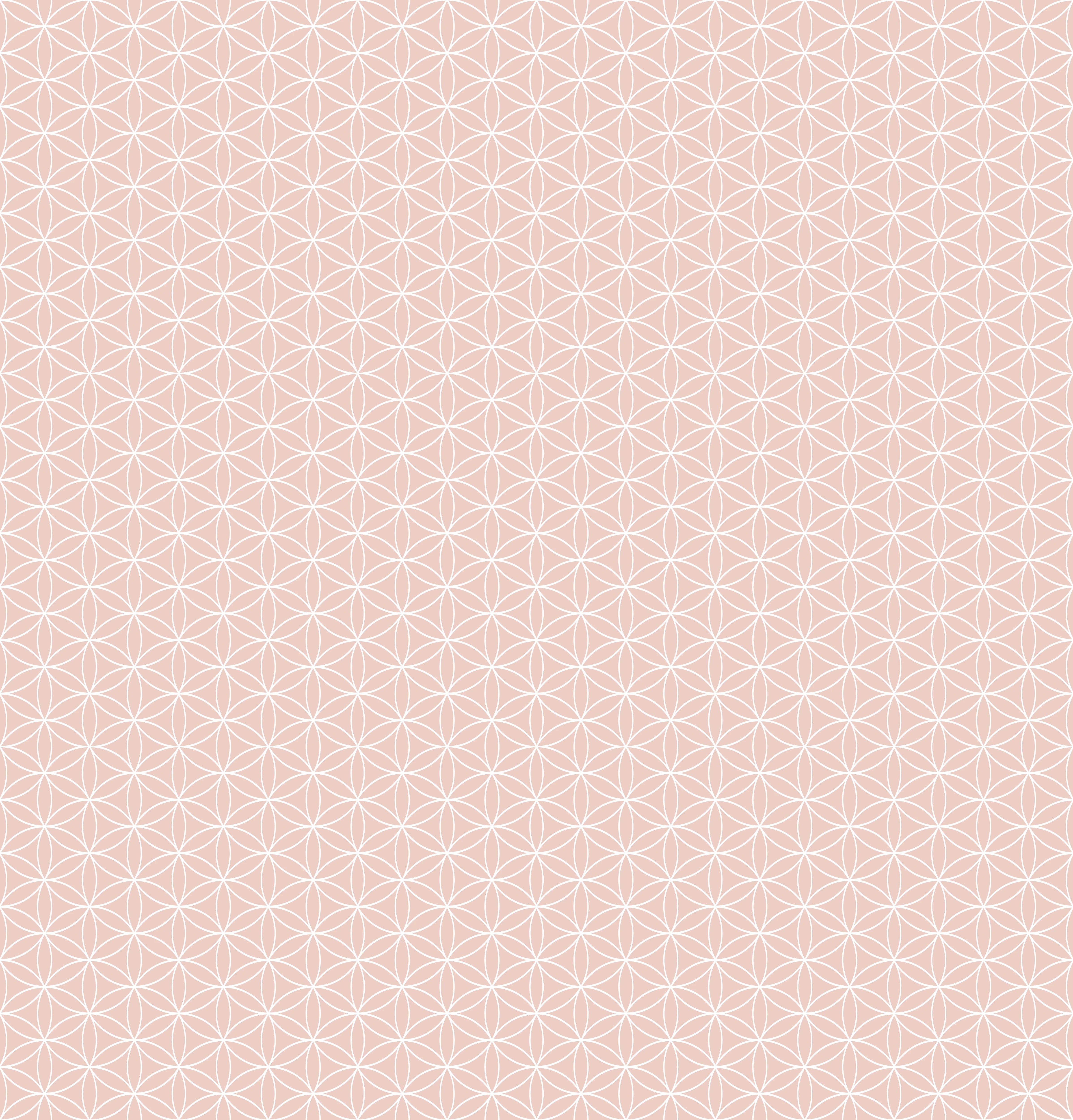 Duschrückwand - Geometrica - Fiori - Cipria