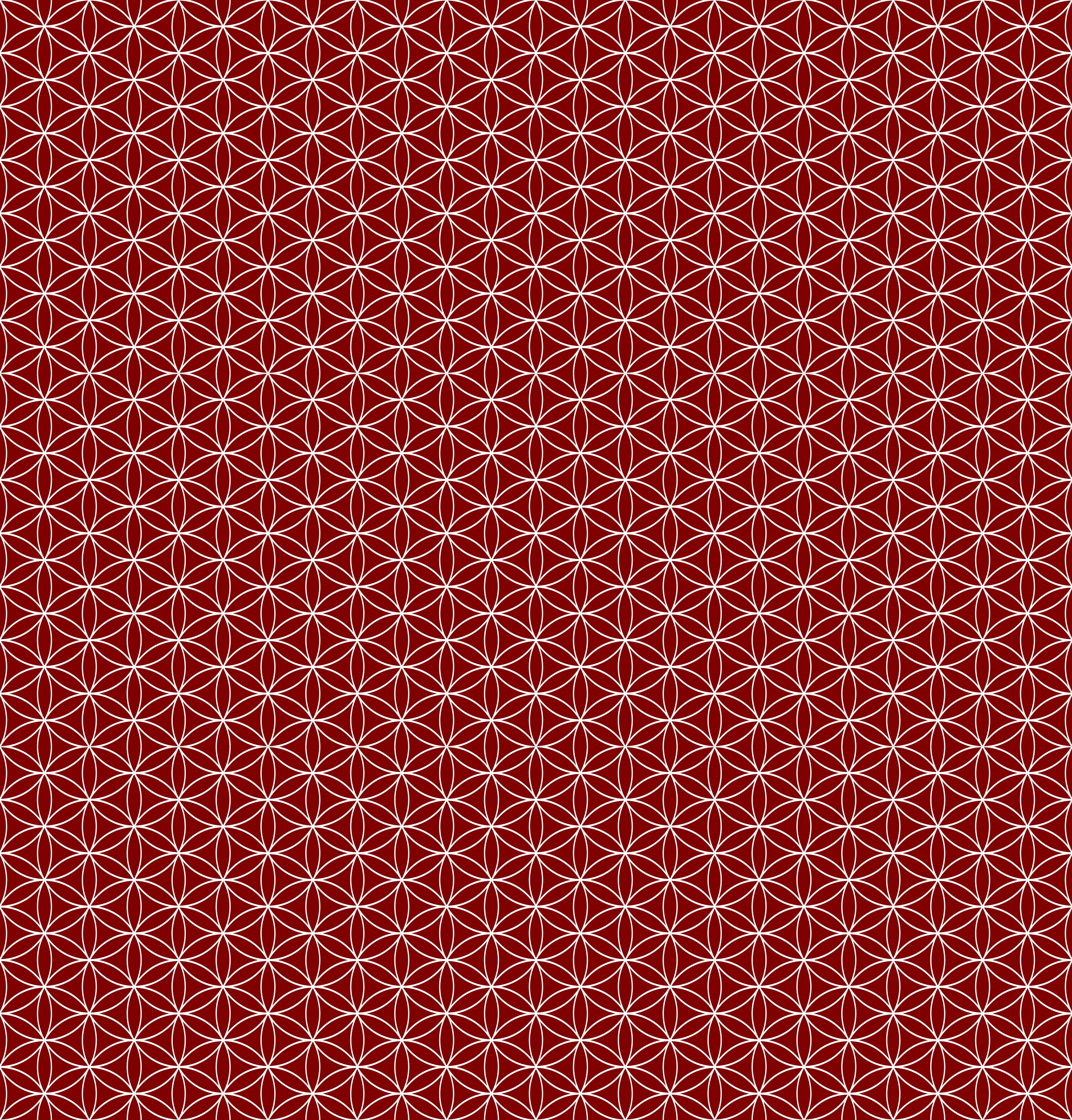 Duschrückwand - Geometrica - Fiori - Granata