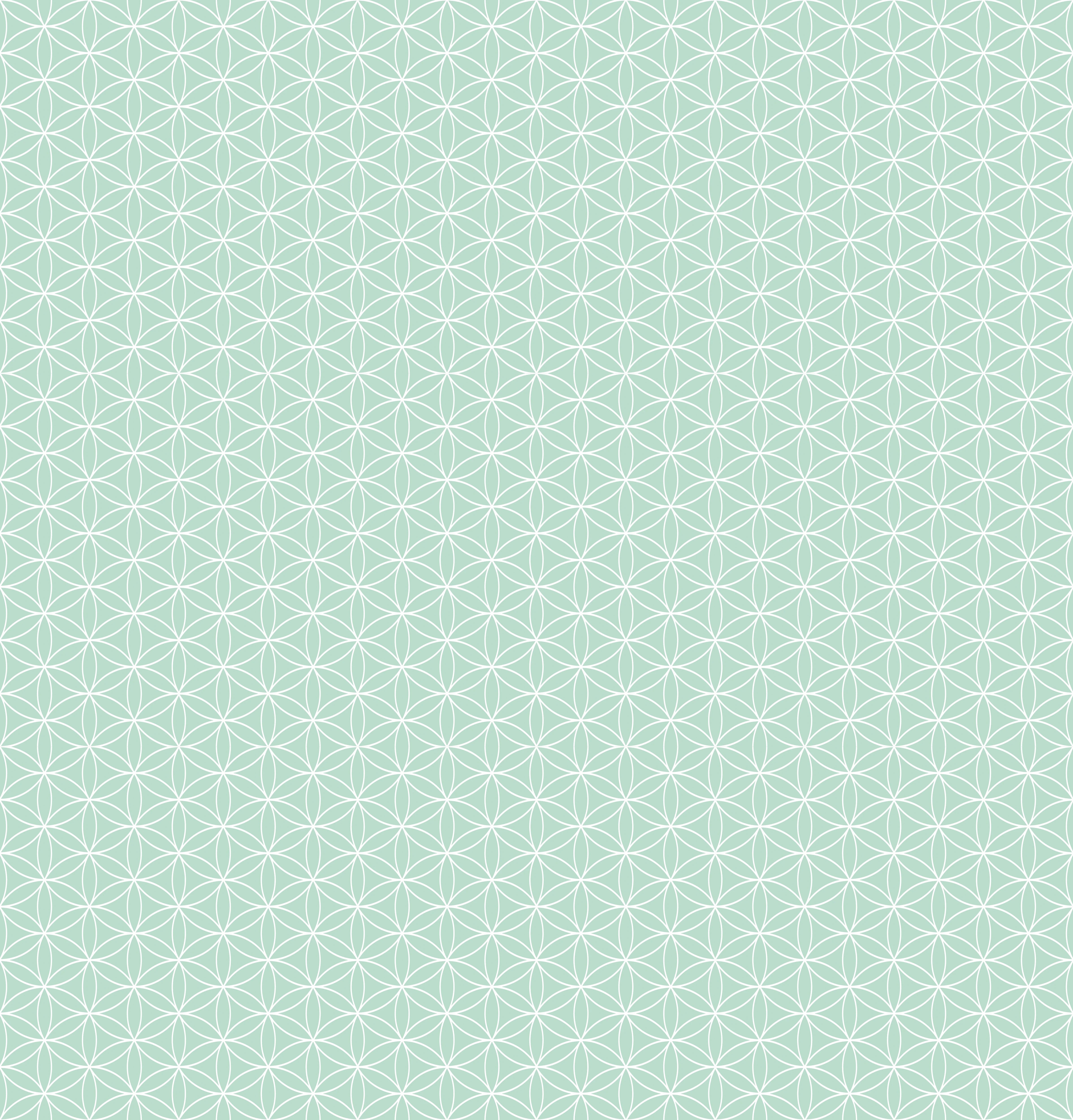 Duschrückwand - Geometrica - Fiori - Menta