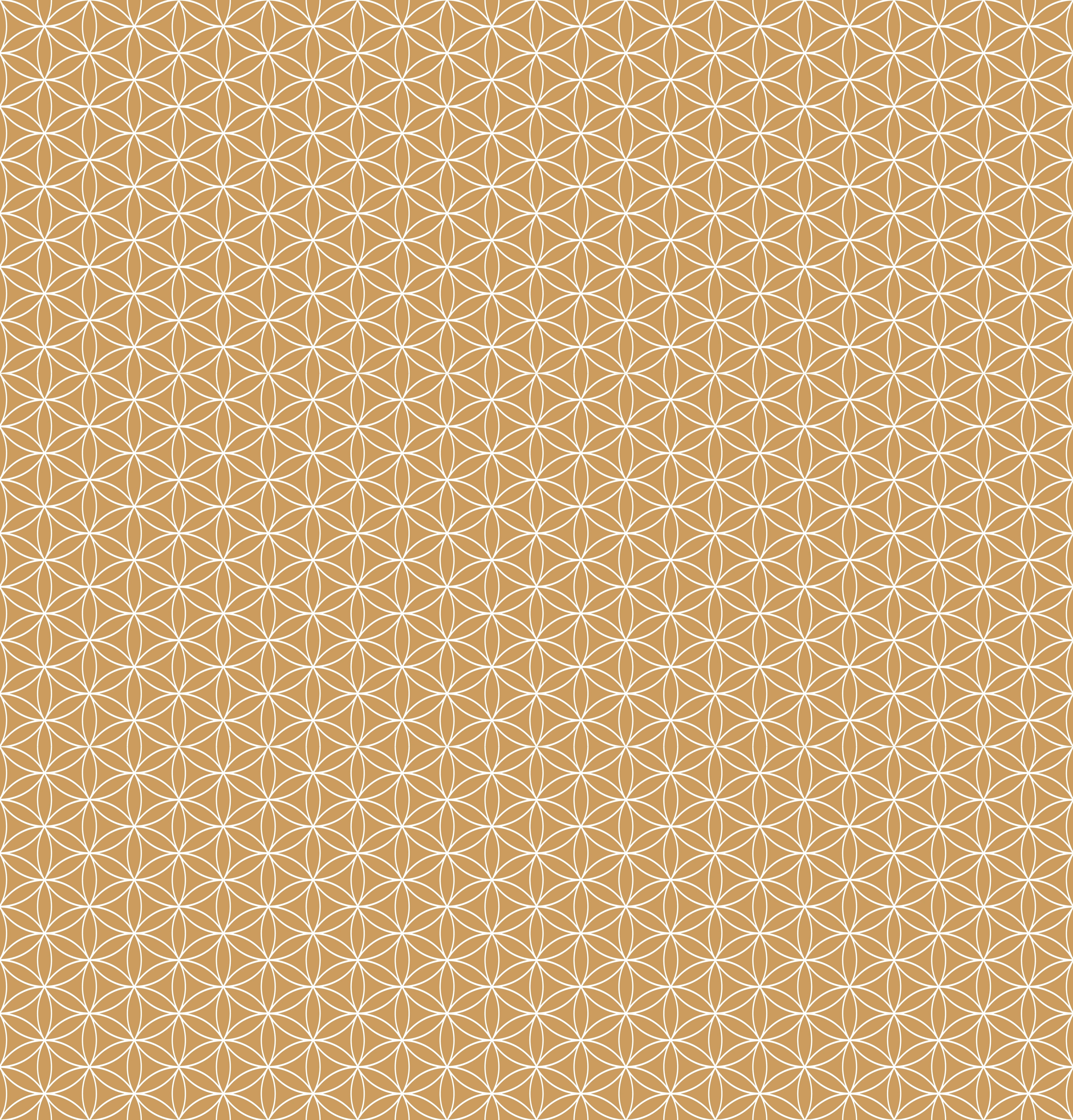 Duschrückwand - Geometrica - Fiori - Ocra