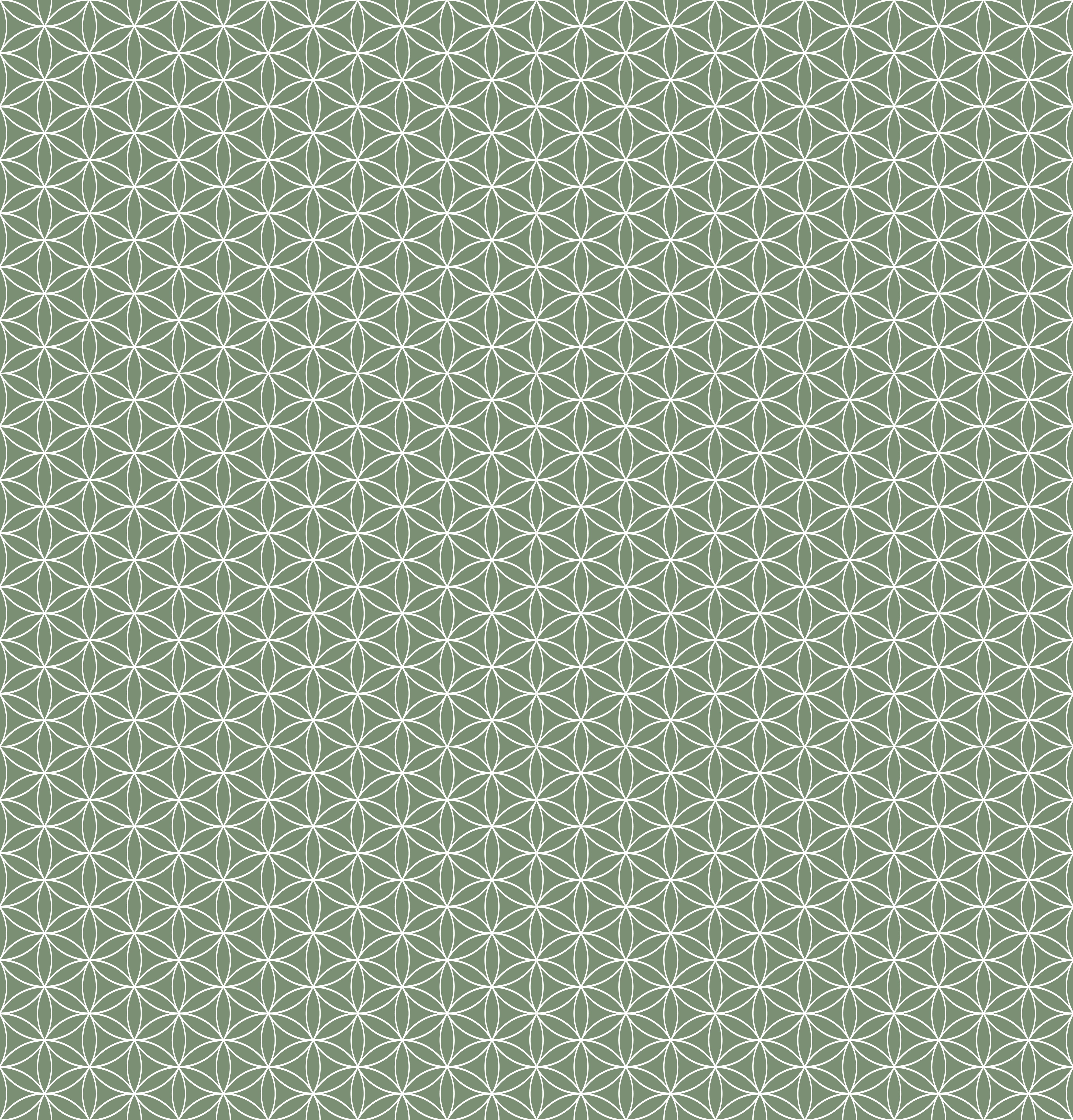 Duschrückwand - Geometrica - Fiori - Oliva