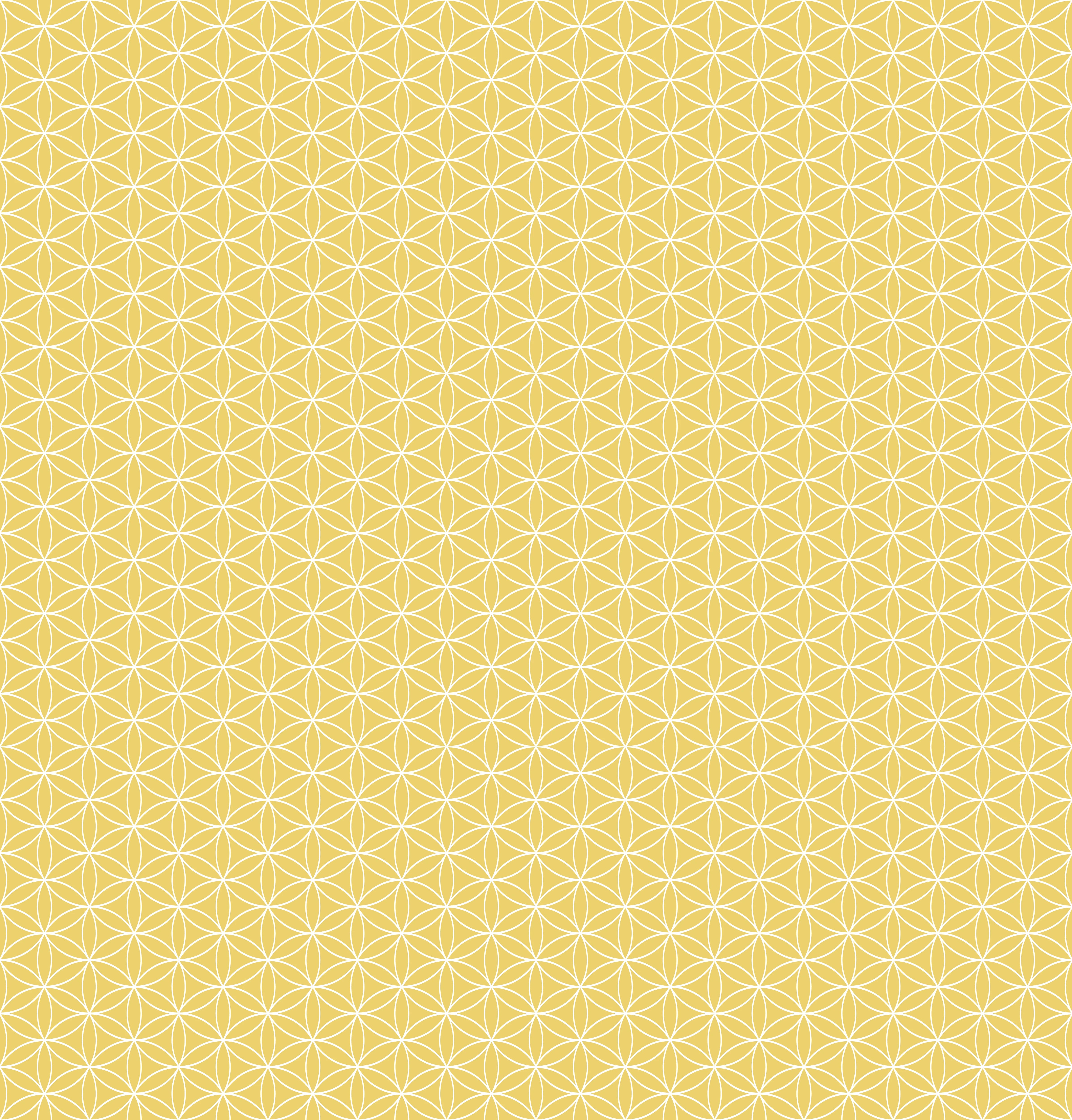 Duschrückwand - Geometrica - Fiori - Oro