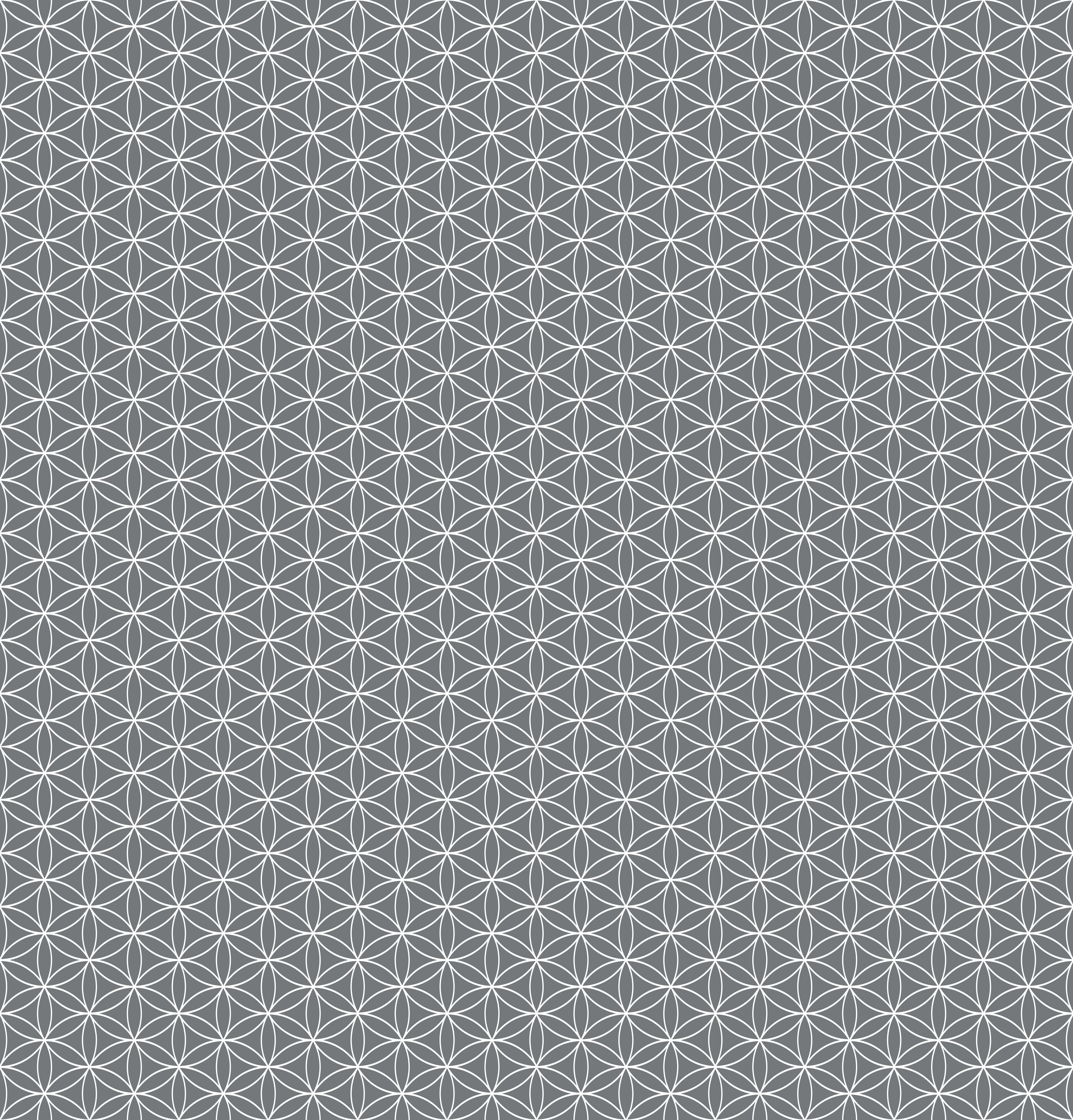 Duschrückwand - Geometrica - Fiori - Piombo